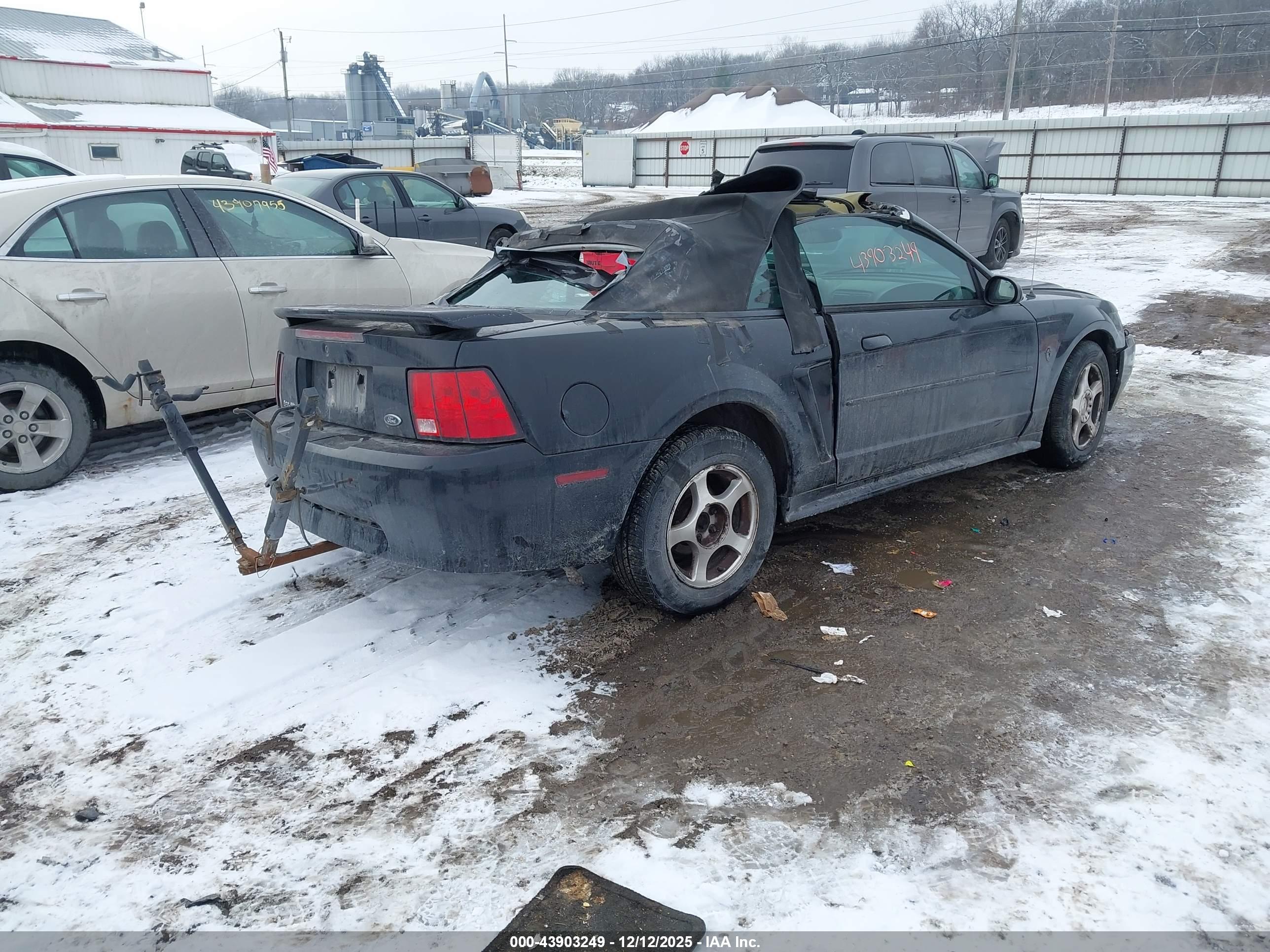 FORD MUSTANG image 4