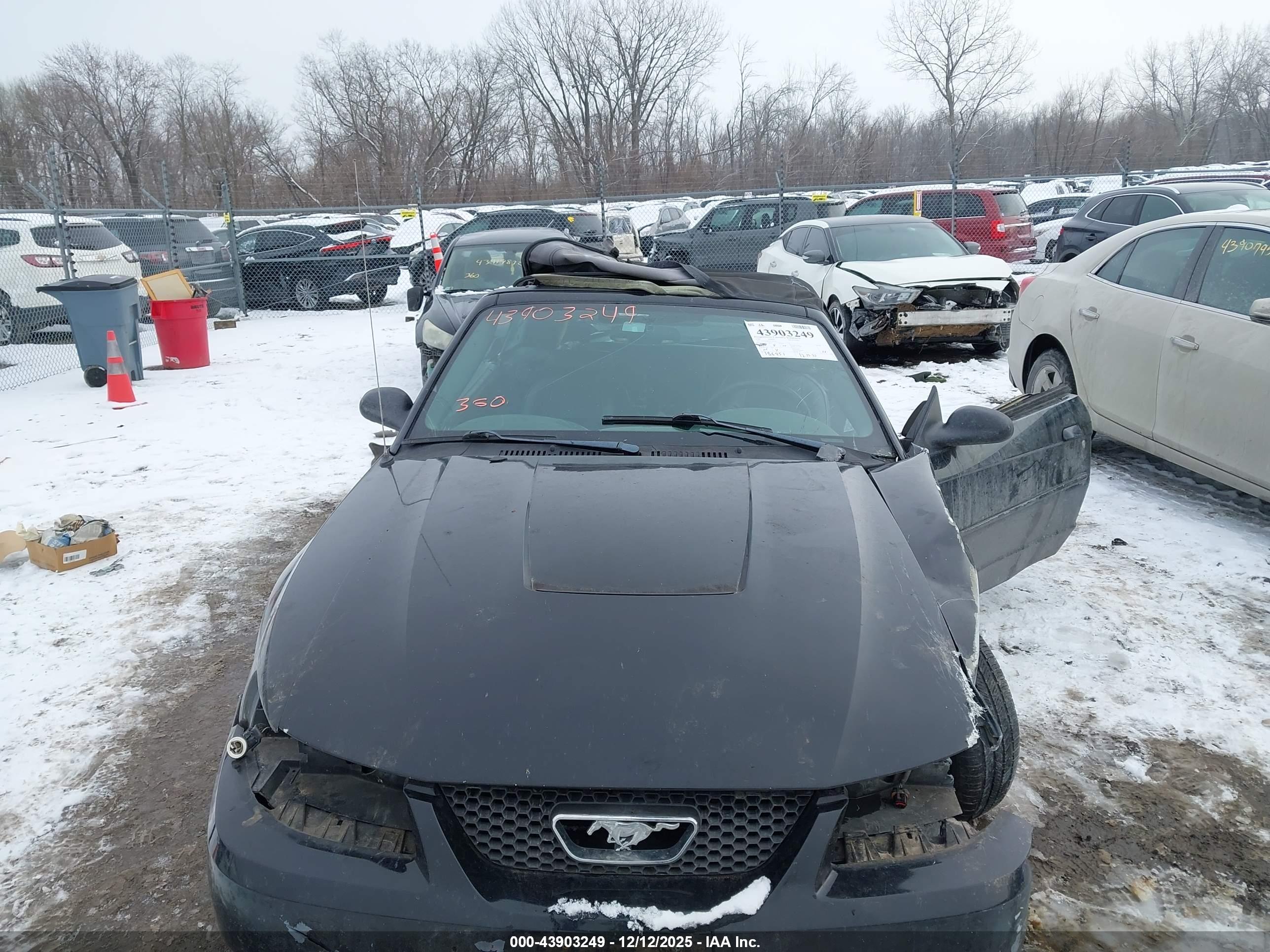 FORD MUSTANG image 6