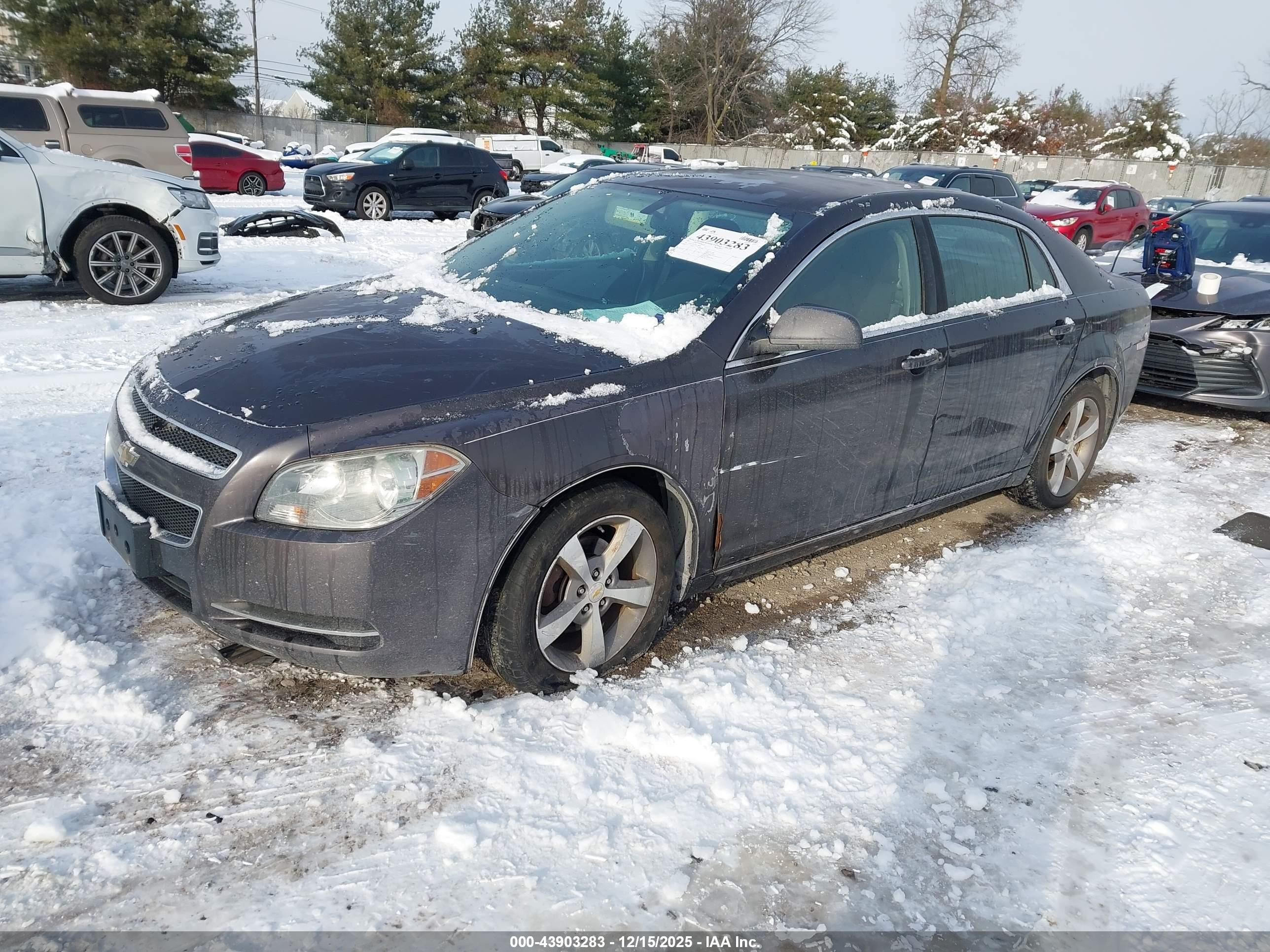CHEVROLET MALIBU image 2