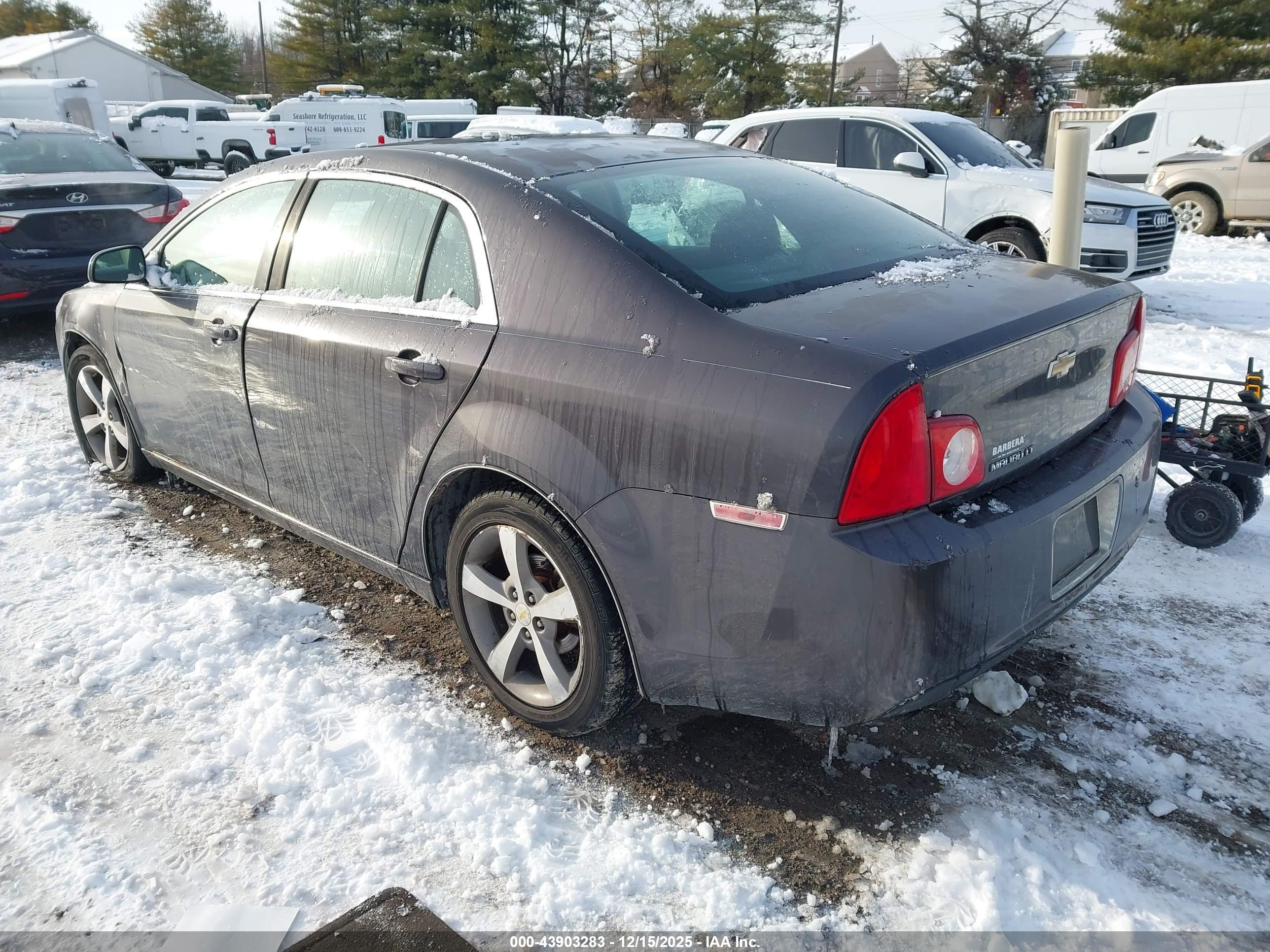 CHEVROLET MALIBU image 3
