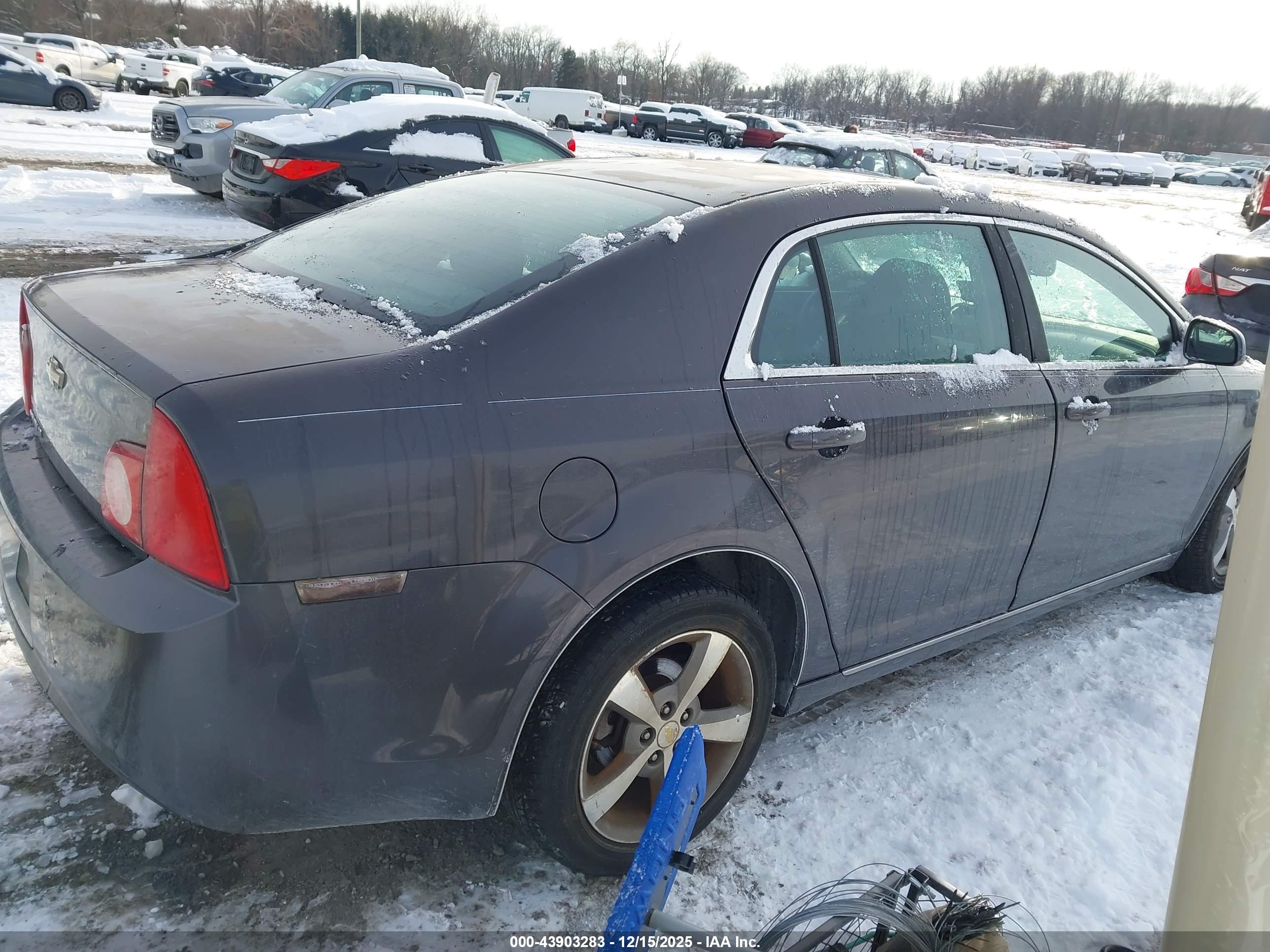 CHEVROLET MALIBU image 4