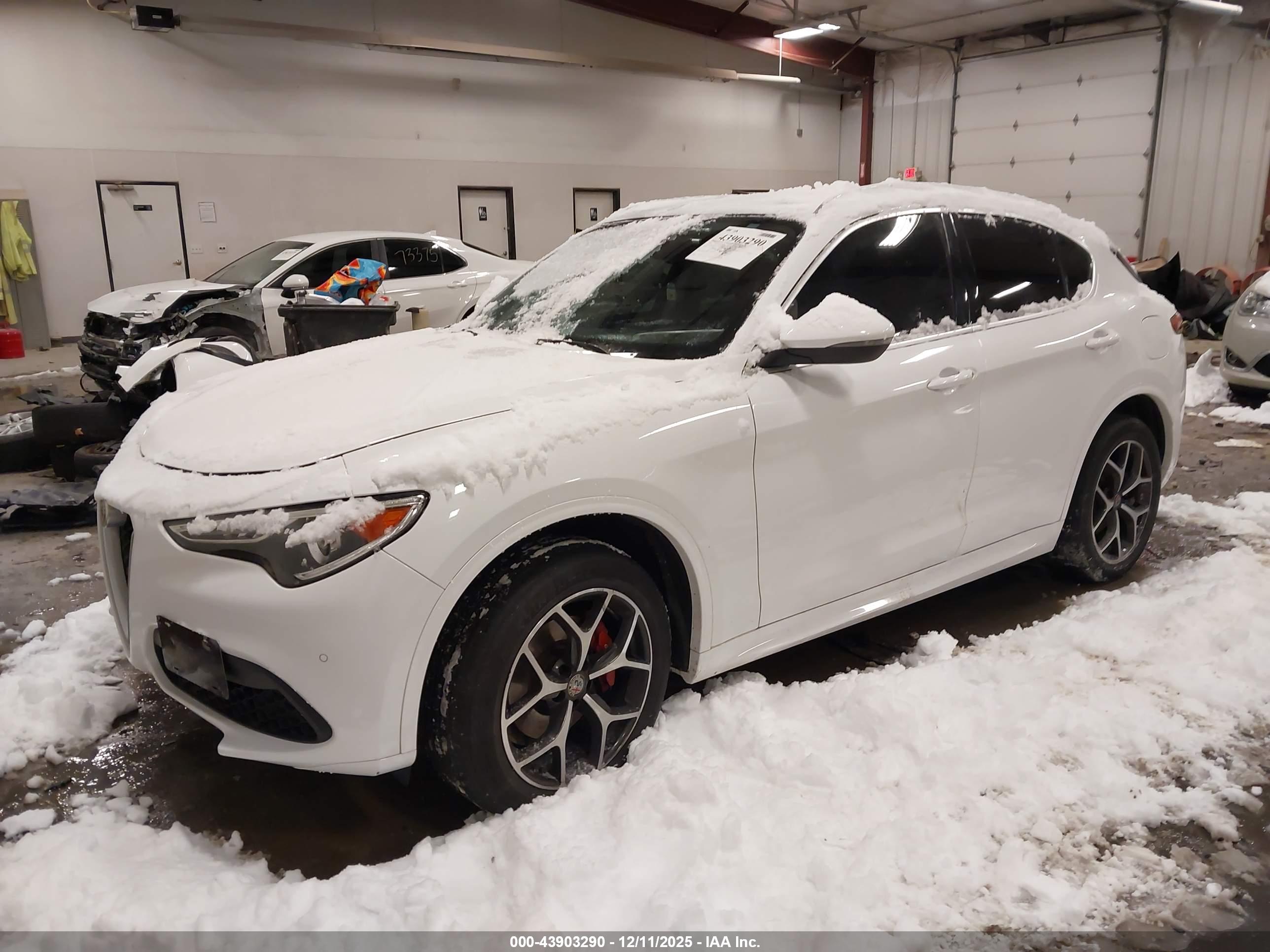 ALFA ROMEO image 2