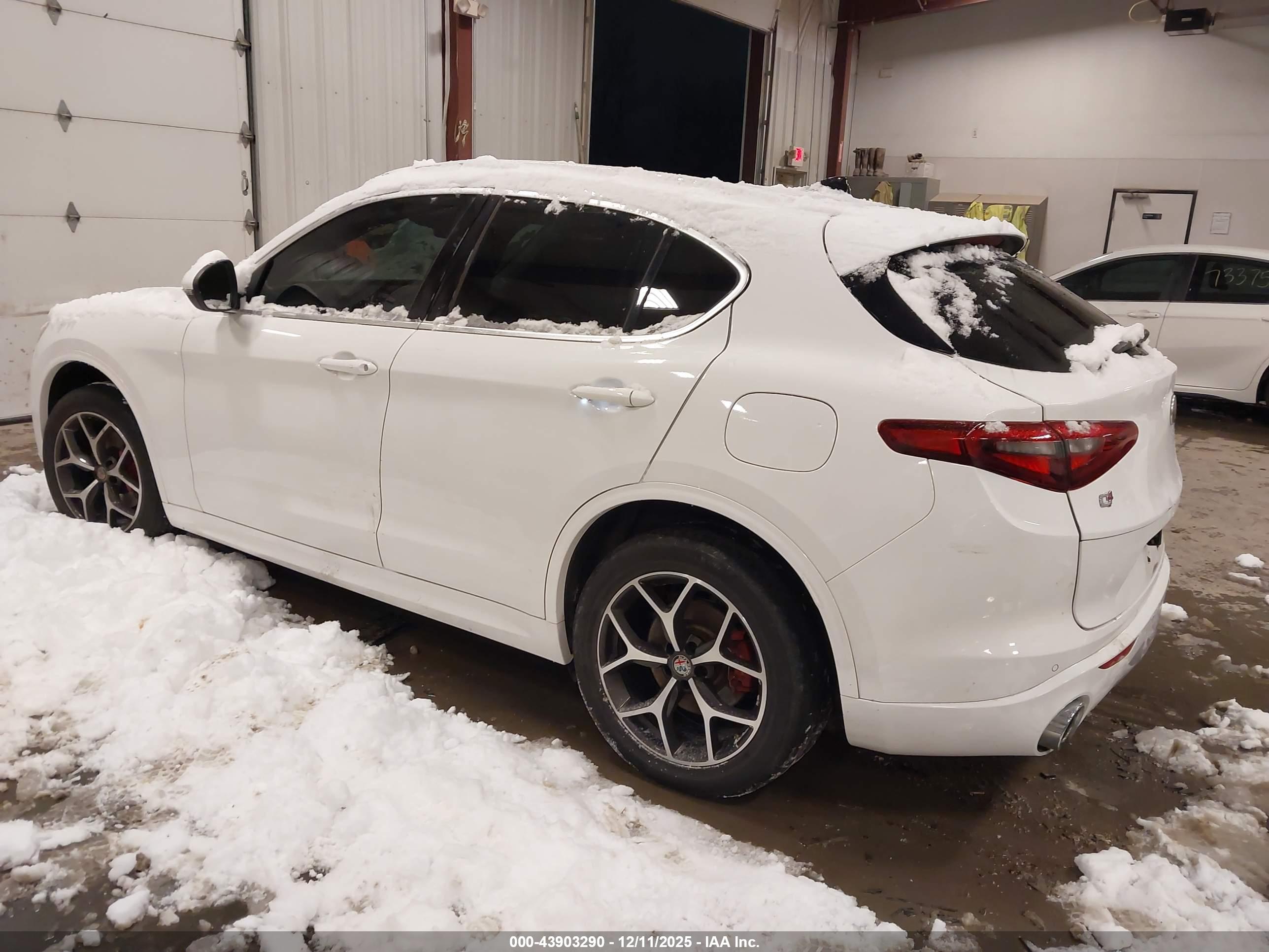 ALFA ROMEO image 3