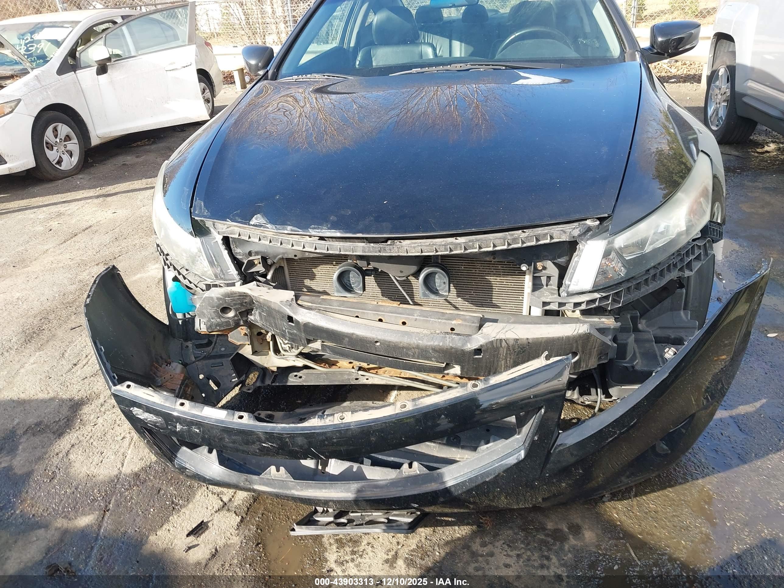 HONDA ACCORD image 6