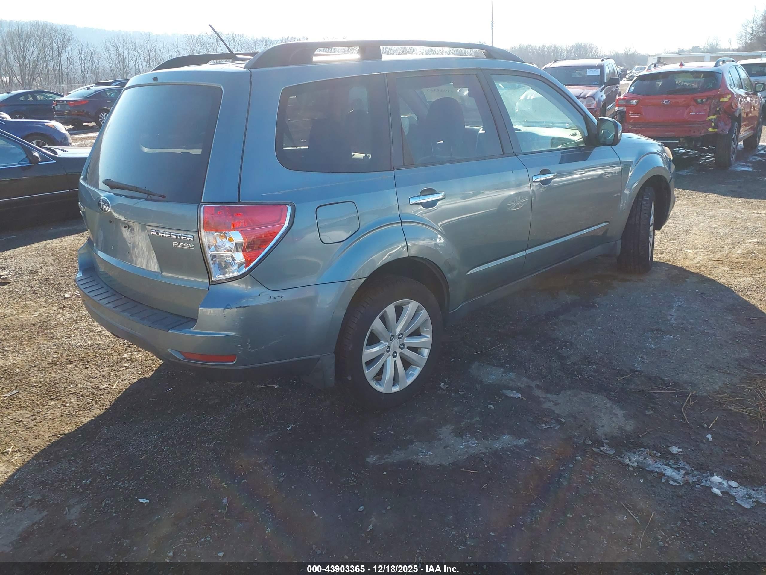SUBARU FORESTER image 4