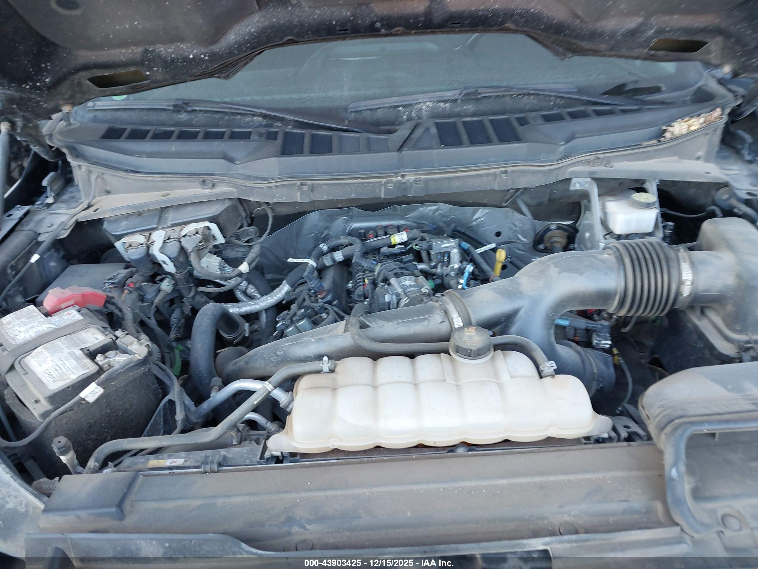 FORD F-150 image 10