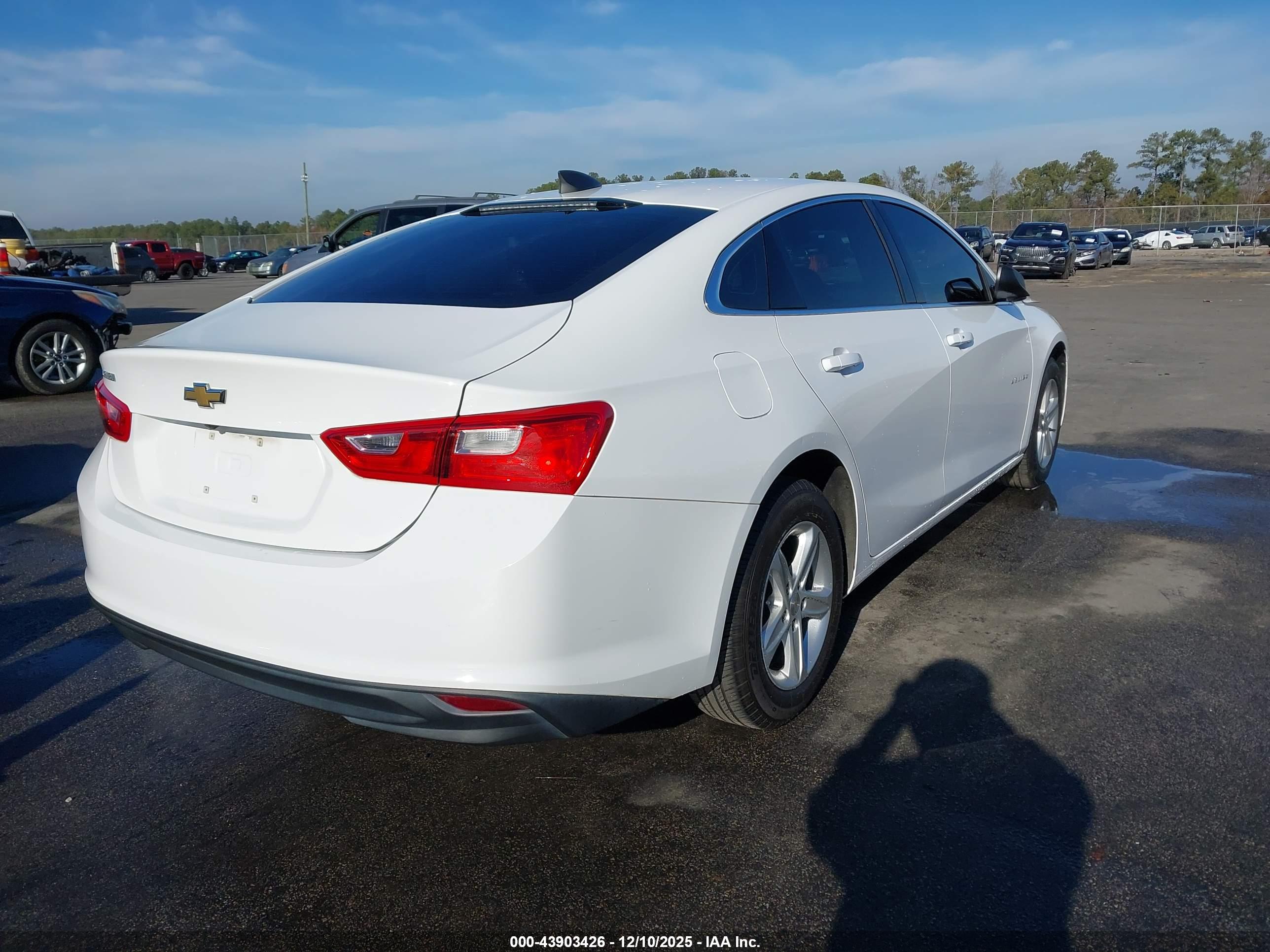 CHEVROLET MALIBU image 4