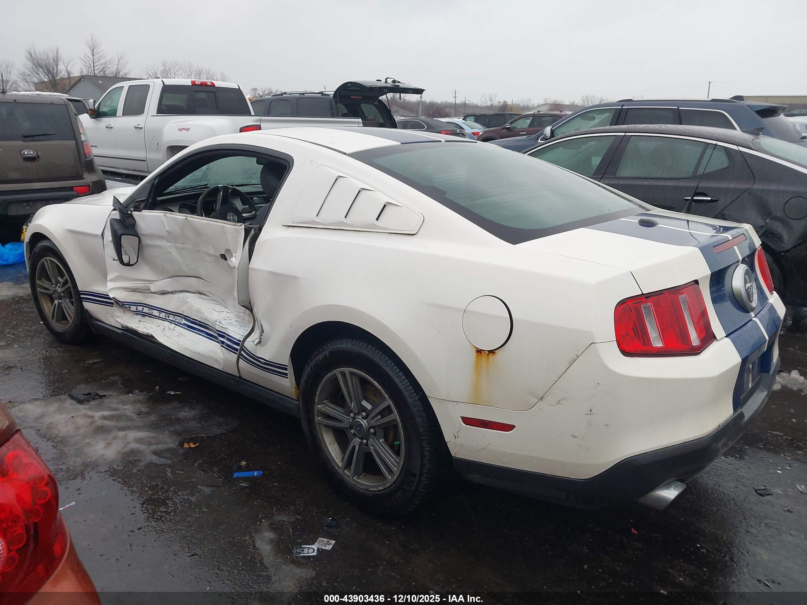 FORD MUSTANG image 3