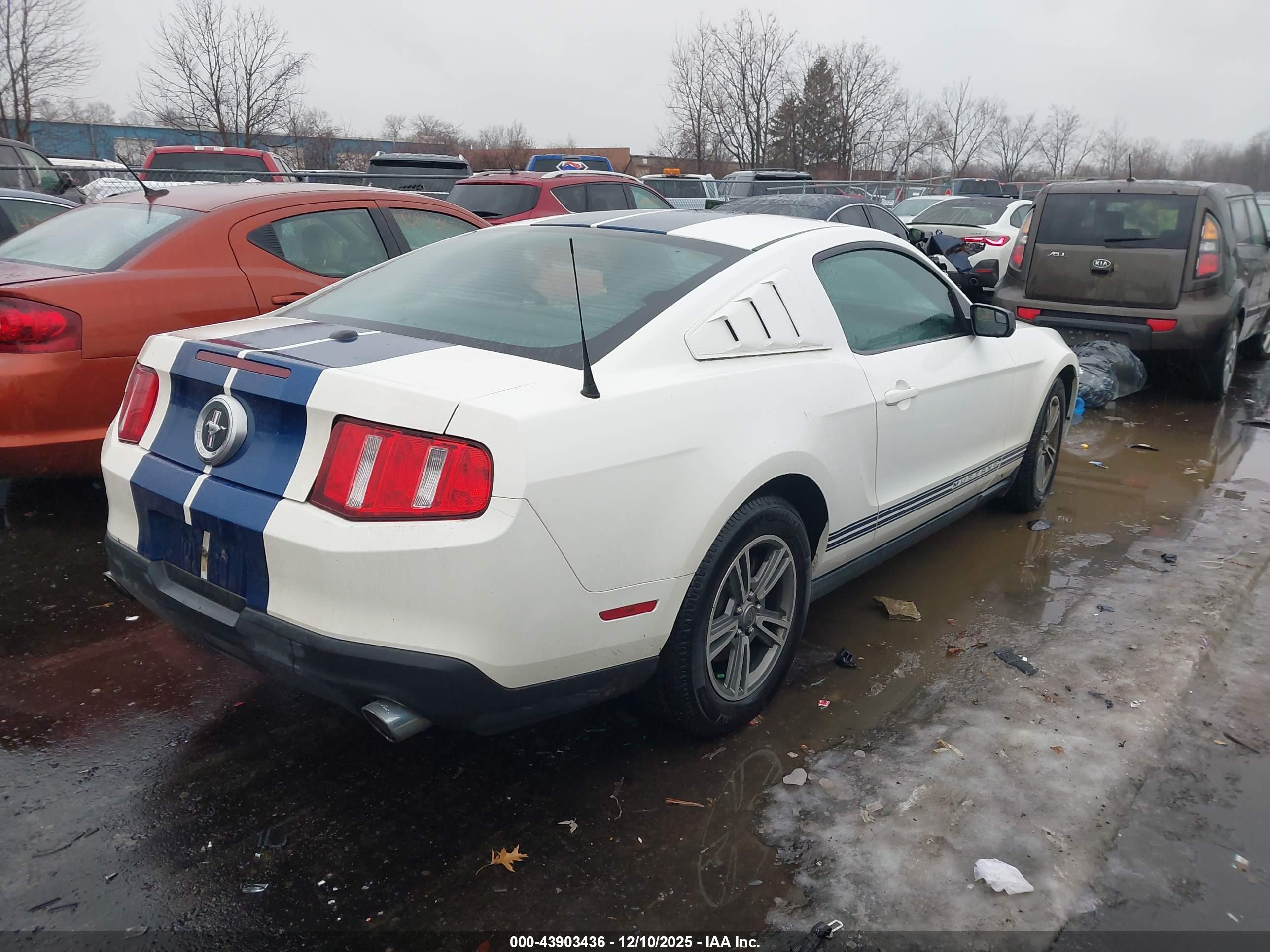 FORD MUSTANG image 4