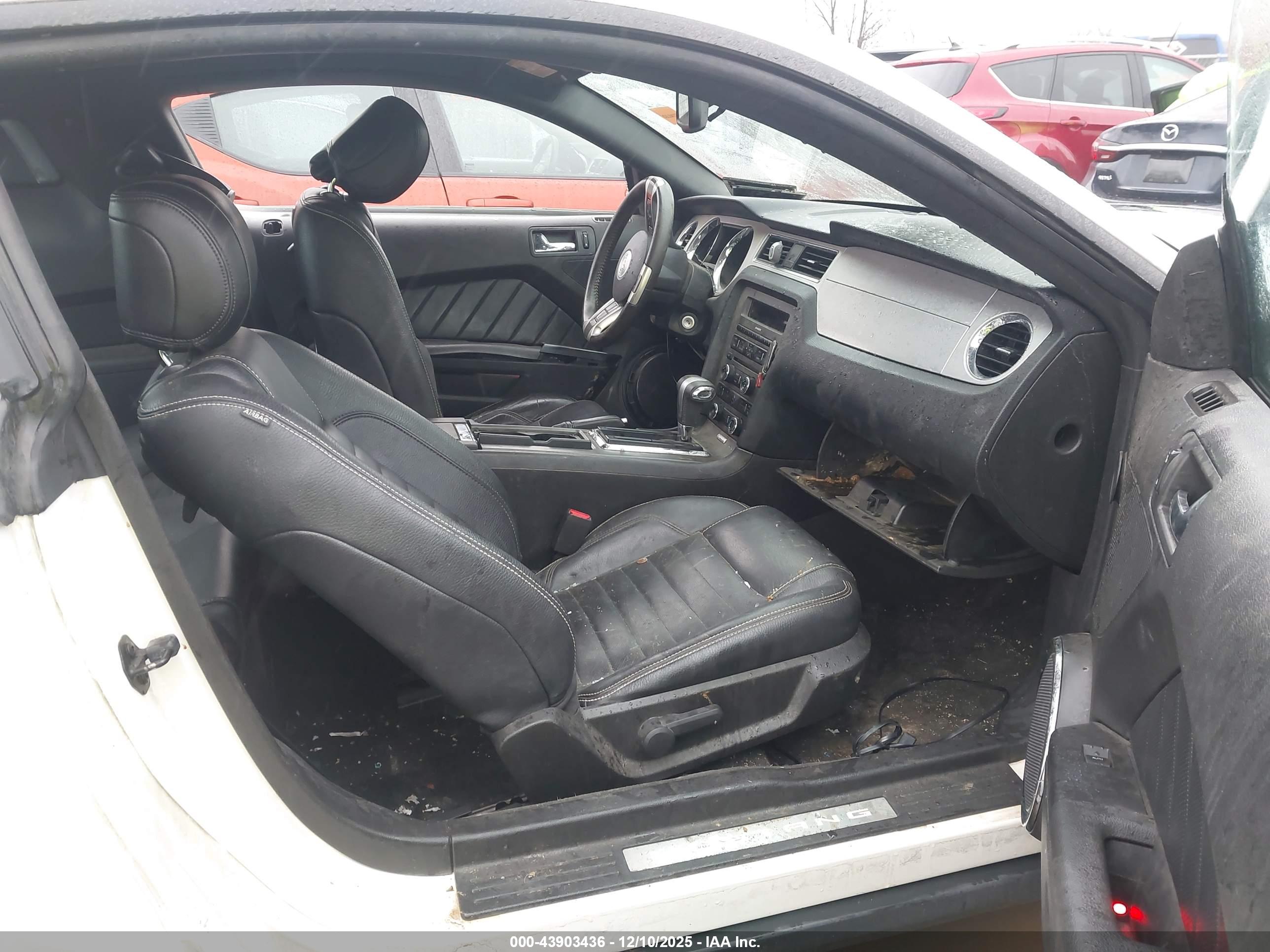 FORD MUSTANG image 5