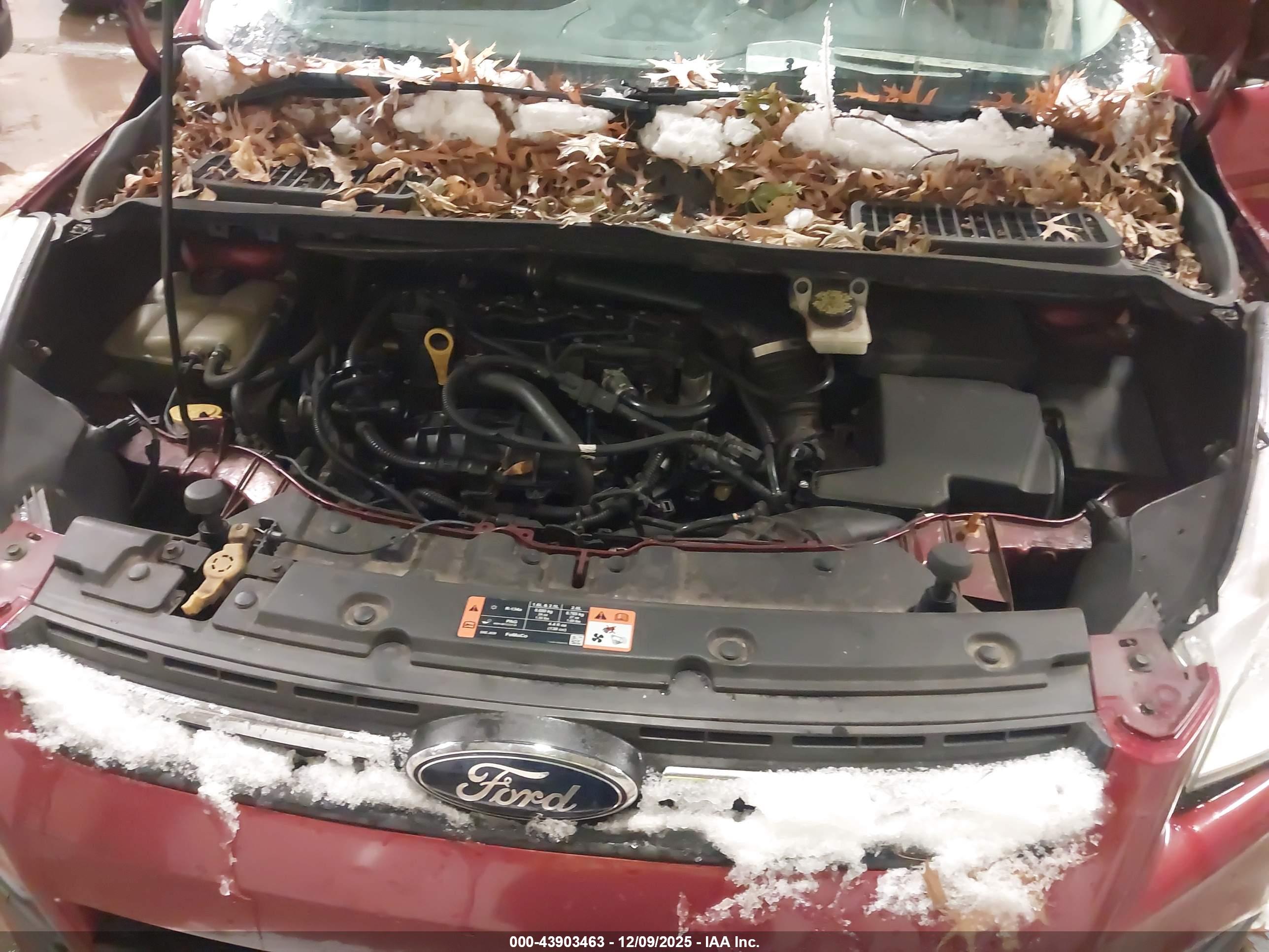 FORD ESCAPE image 10