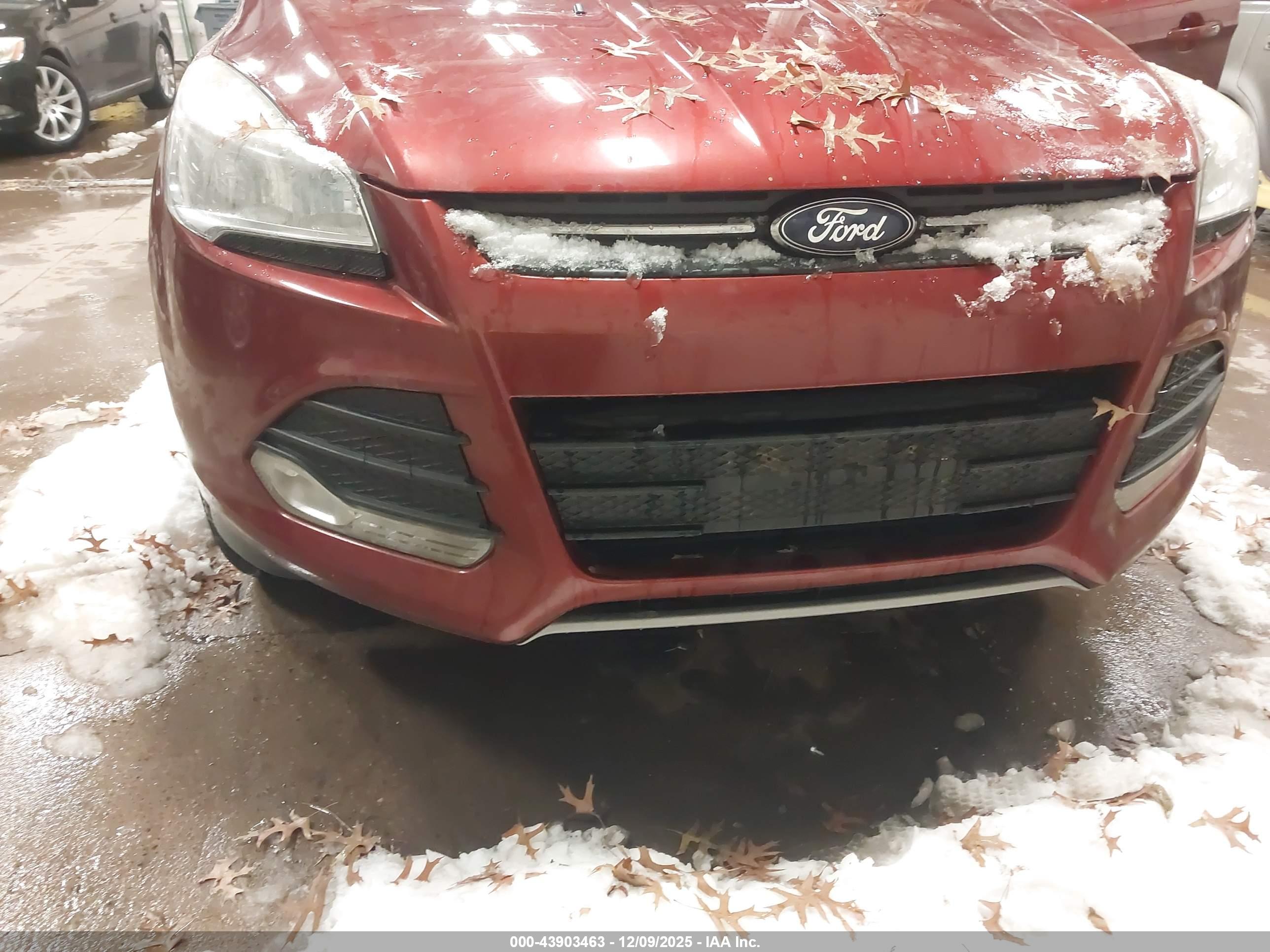 FORD ESCAPE image 6