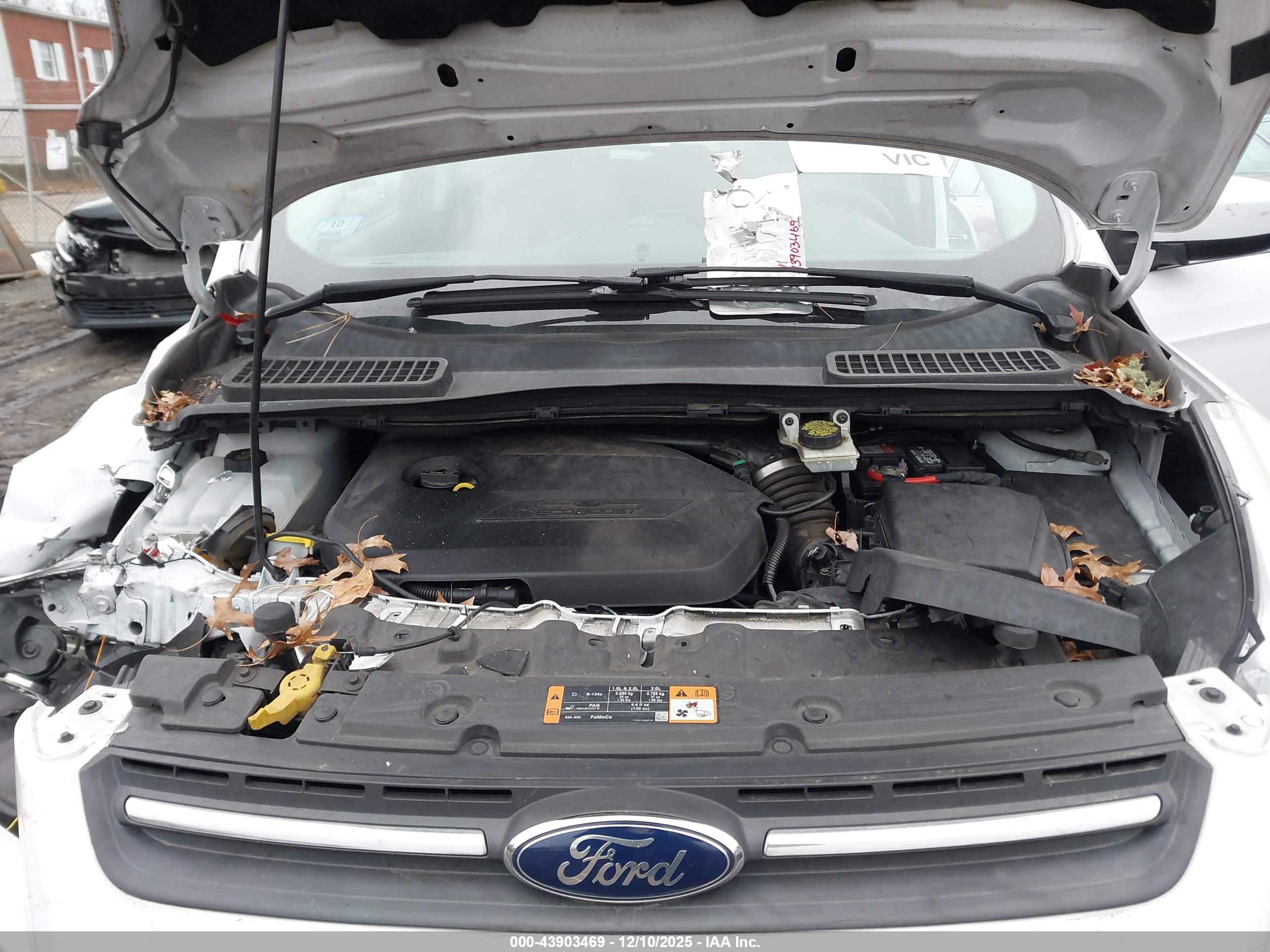 FORD ESCAPE image 10