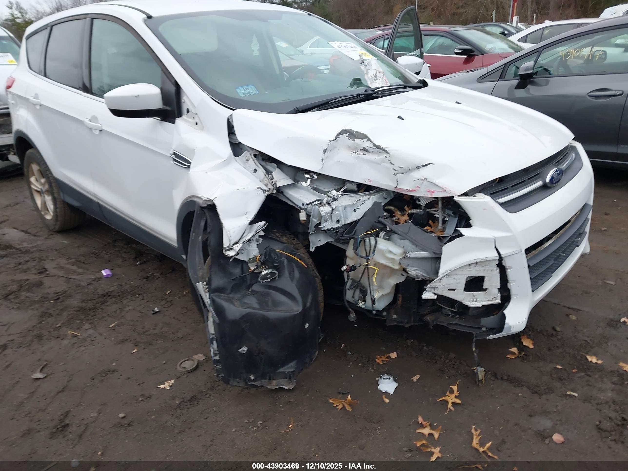 FORD ESCAPE image 6