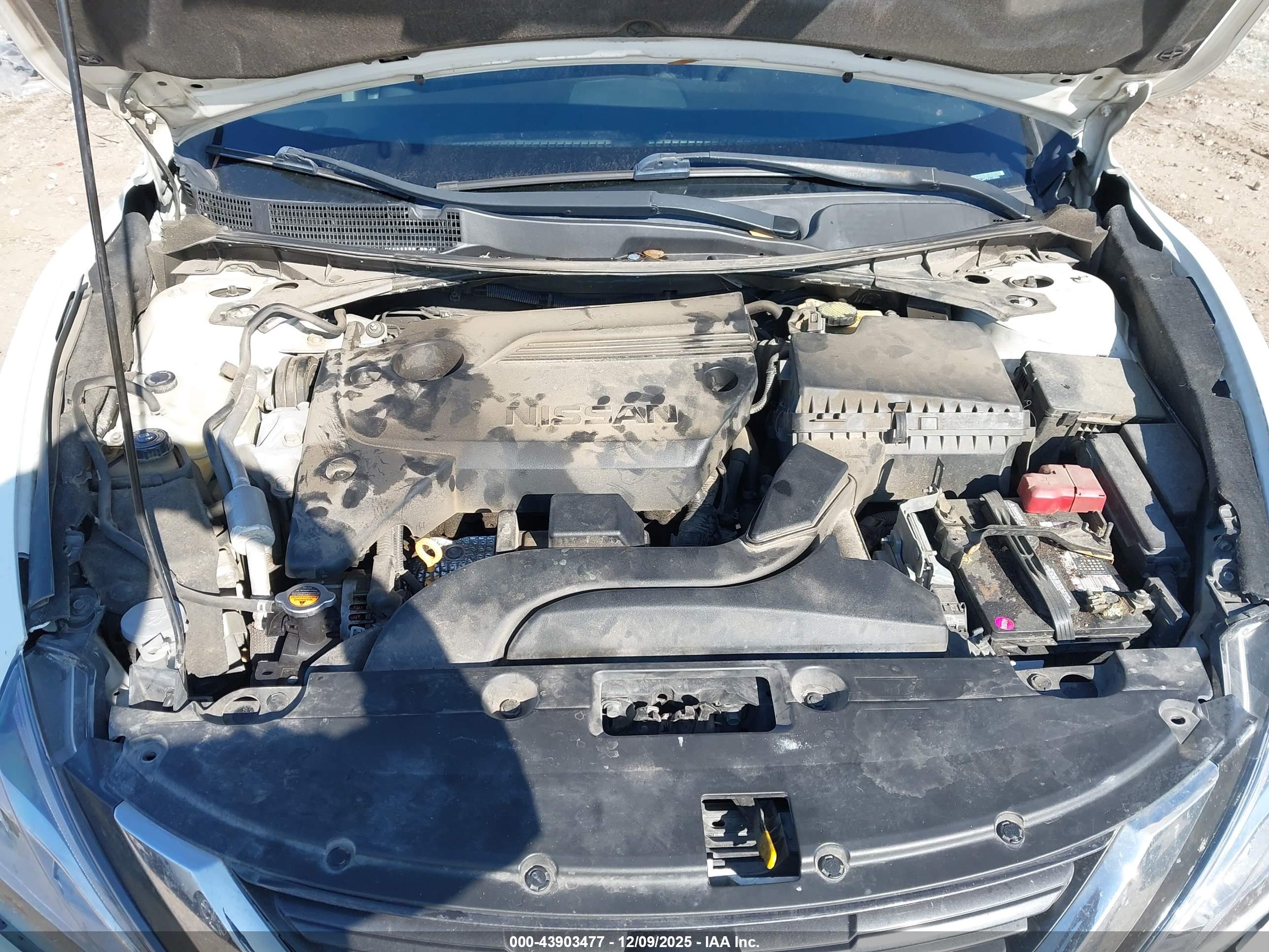 NISSAN ALTIMA image 10
