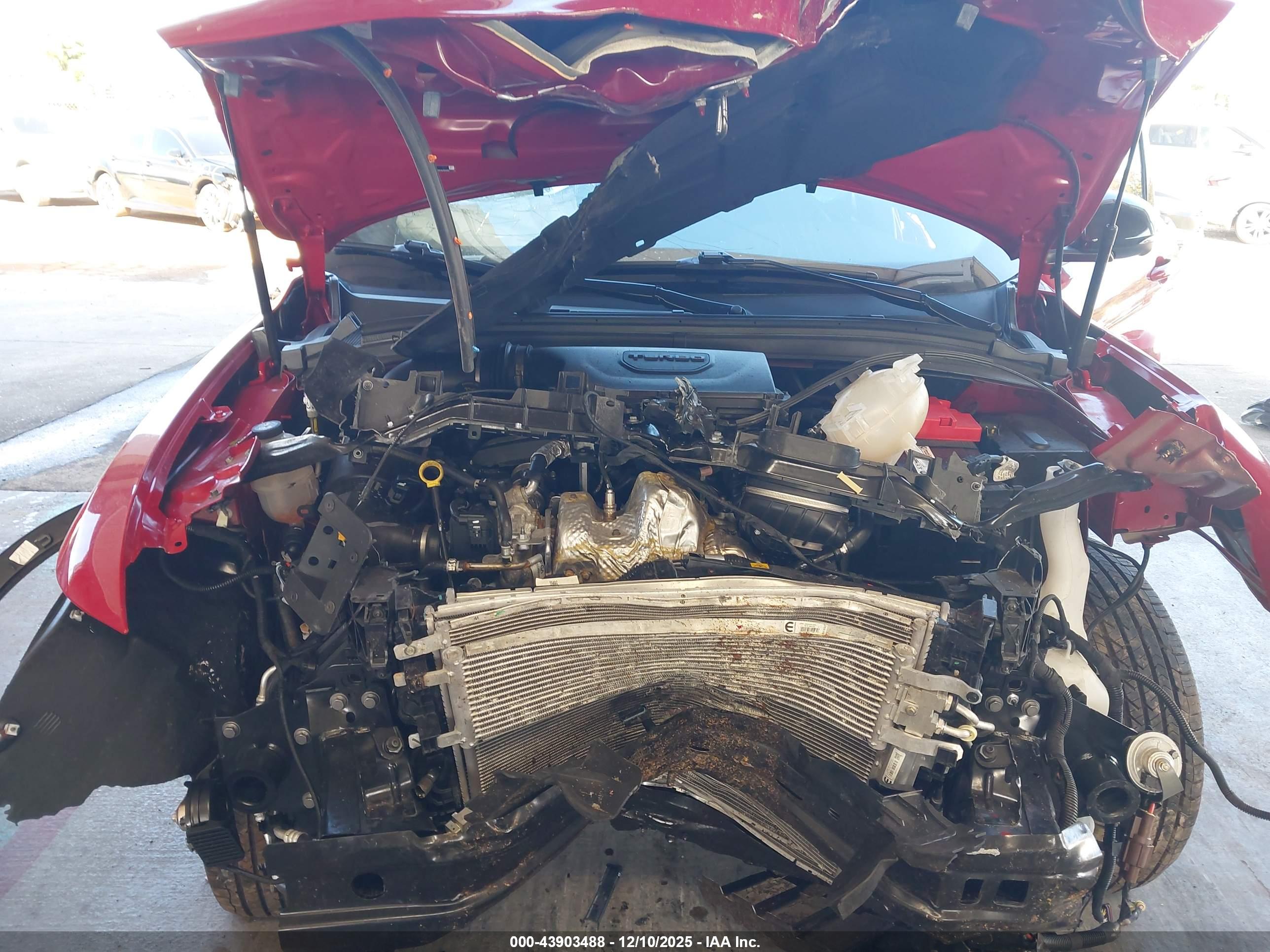 DODGE HORNET image 10