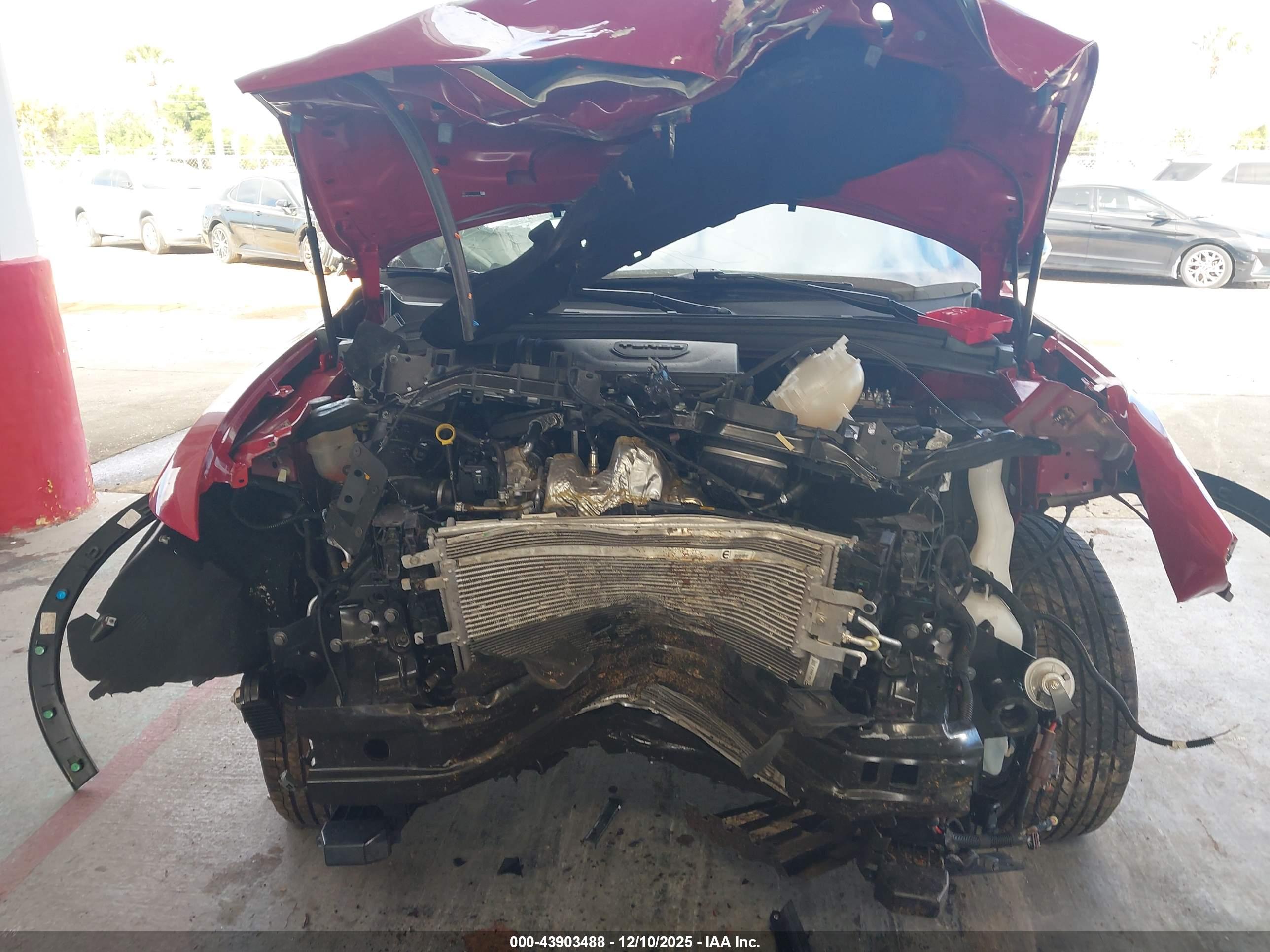 DODGE HORNET image 6