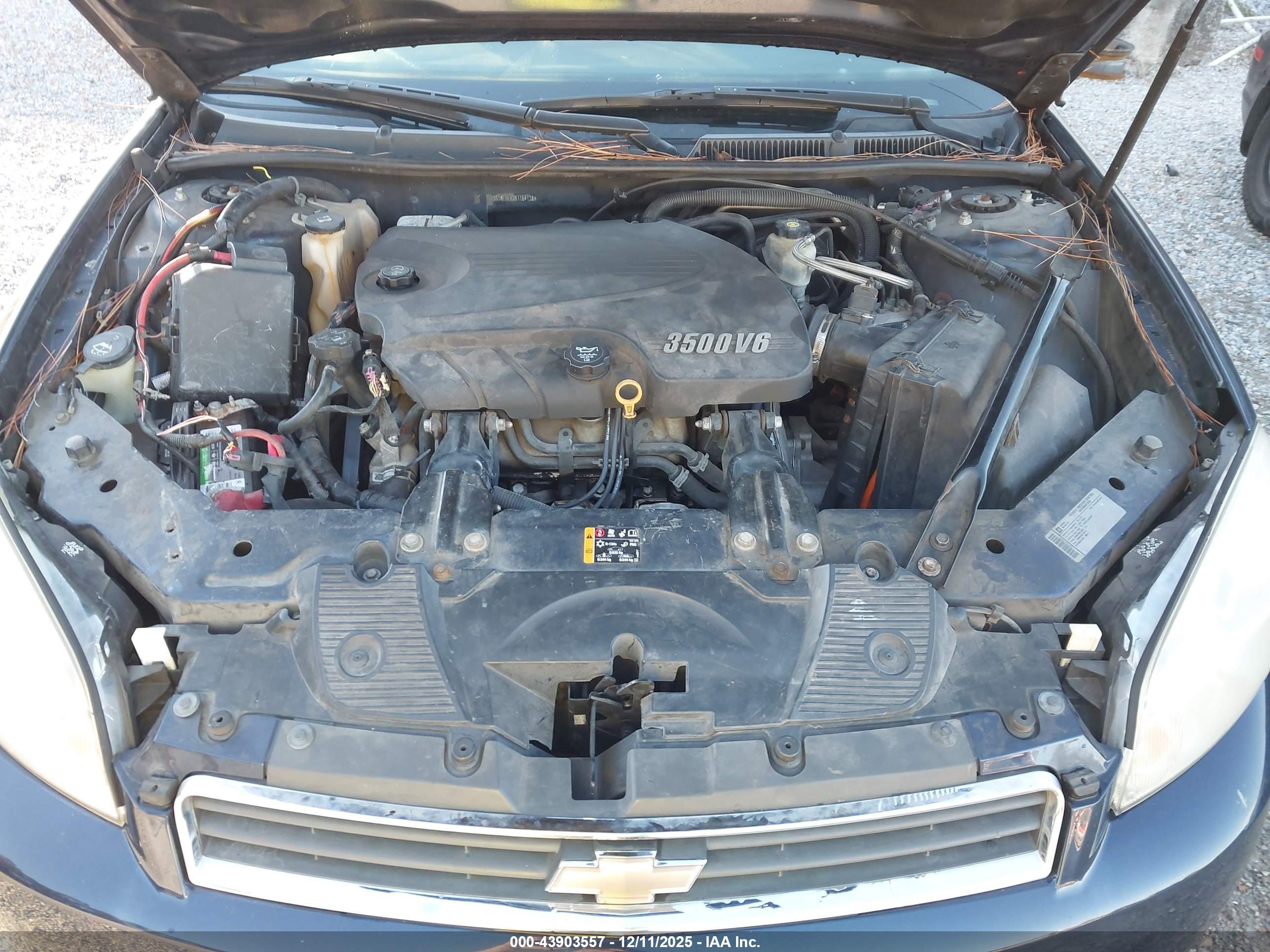 CHEVROLET IMPALA image 10