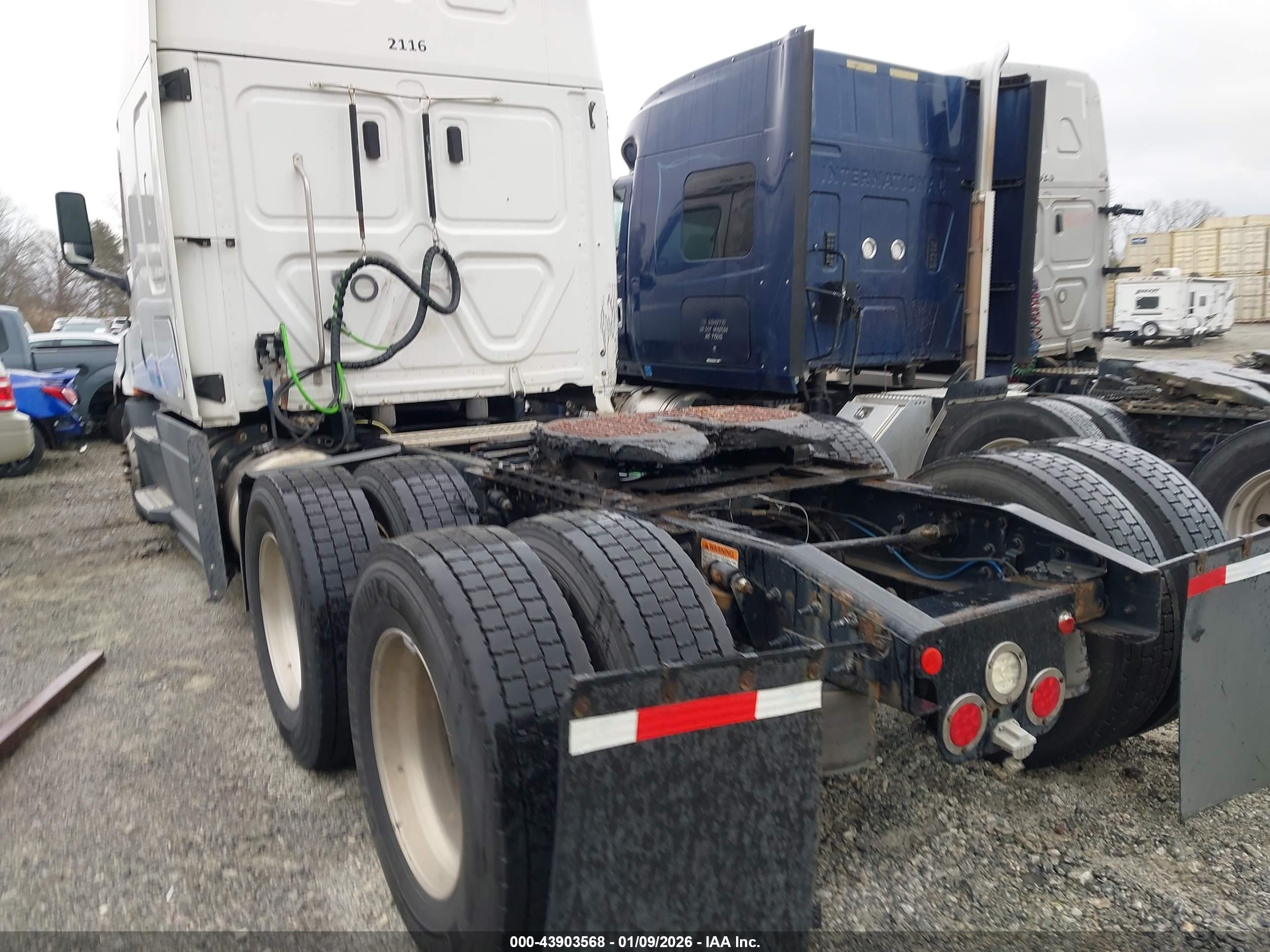 FREIGHTLINER NEW image 3