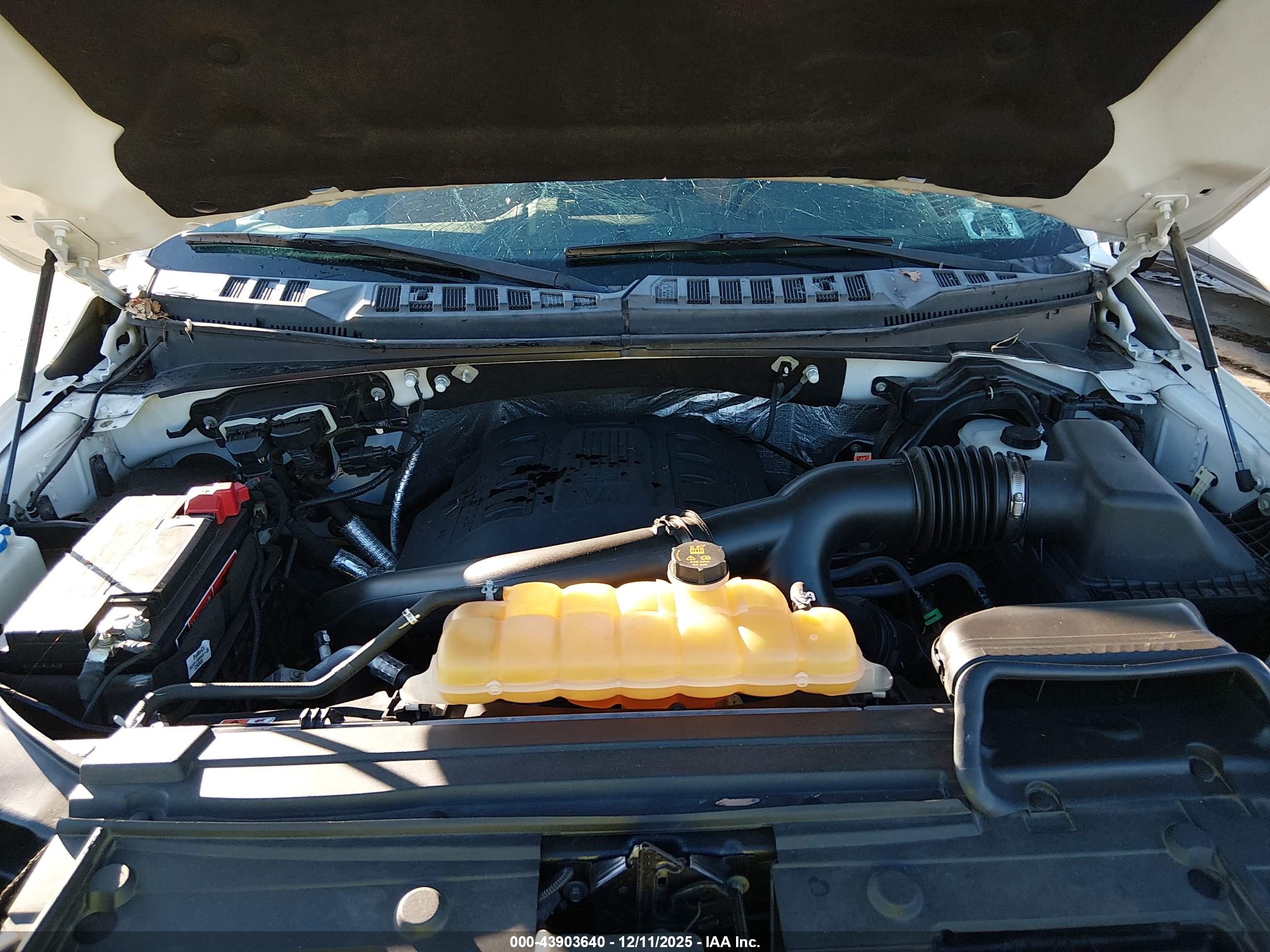FORD F-150 image 10