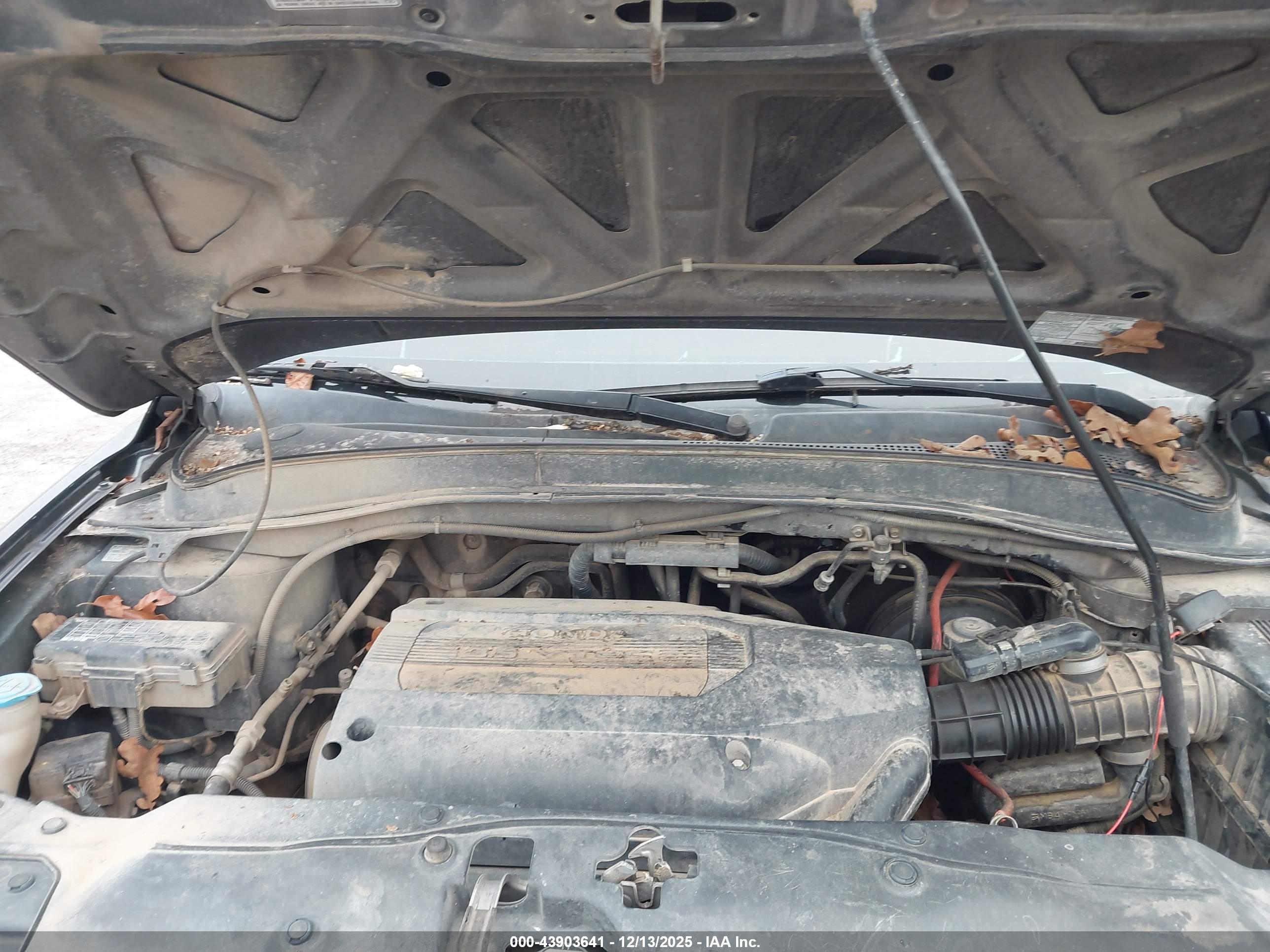 HONDA PILOT image 10
