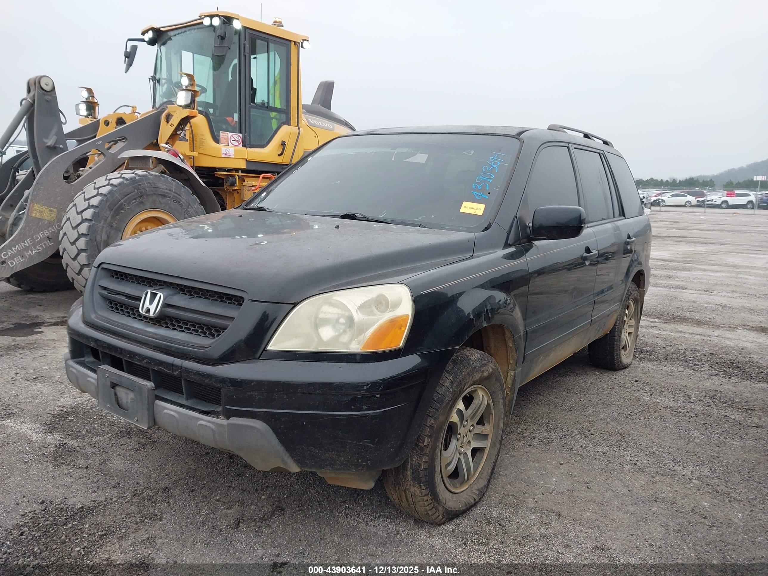 HONDA PILOT image 6