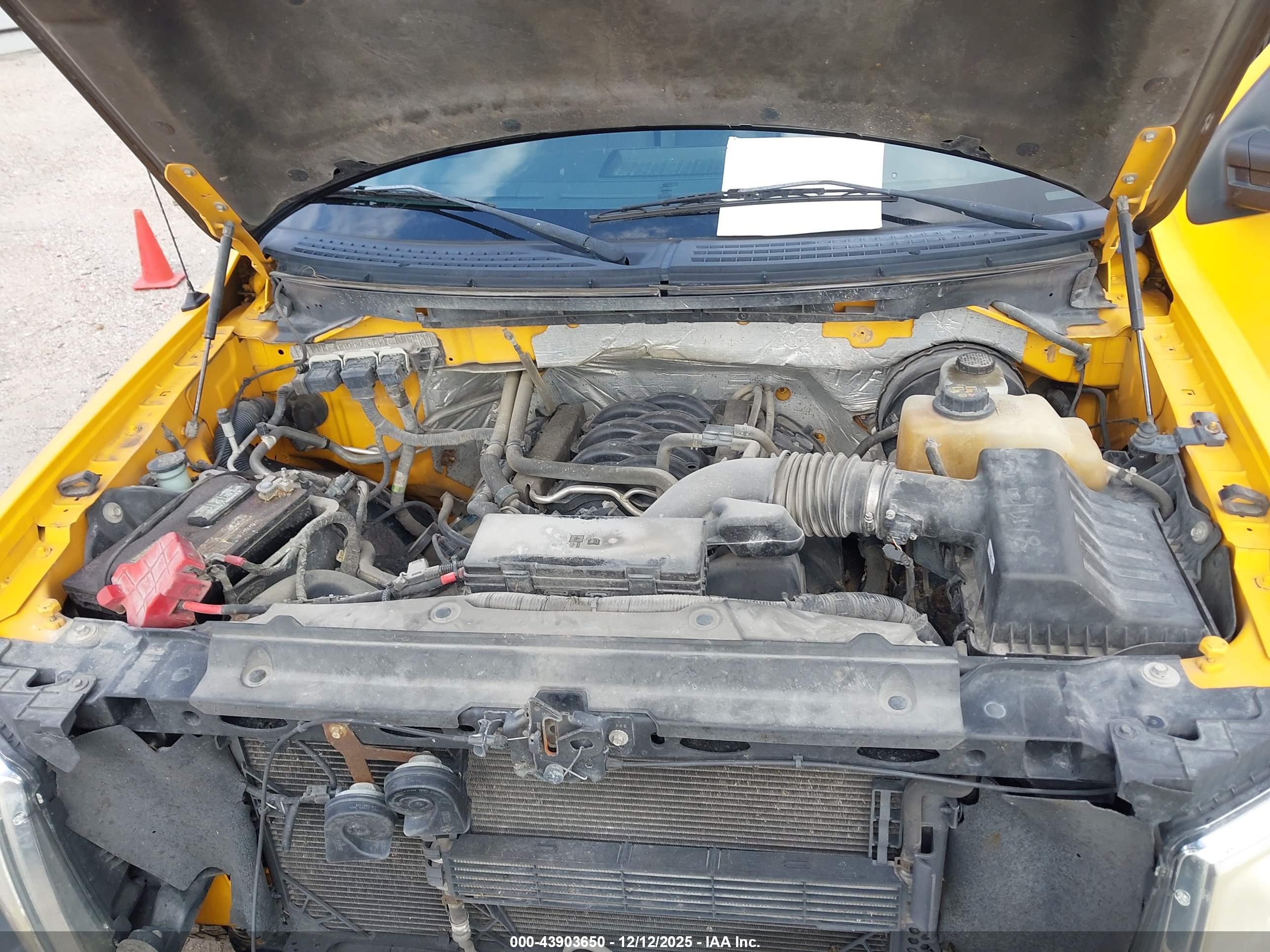FORD F-150 image 10