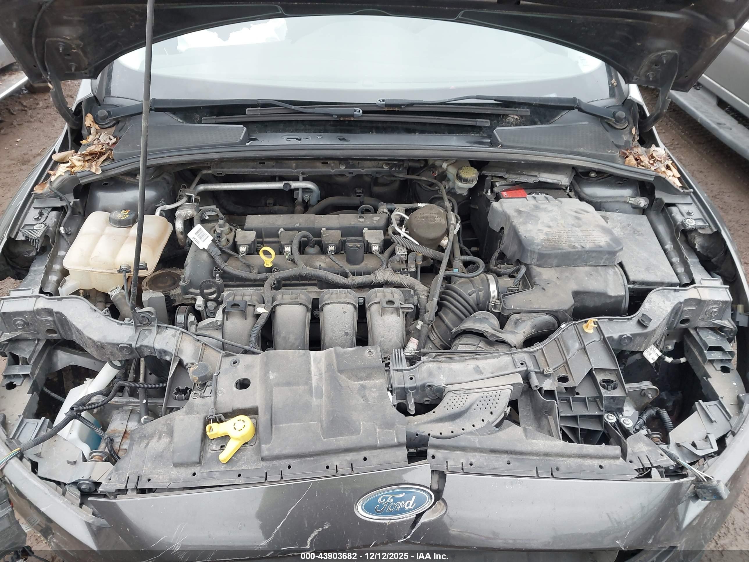 FORD FOCUS image 10