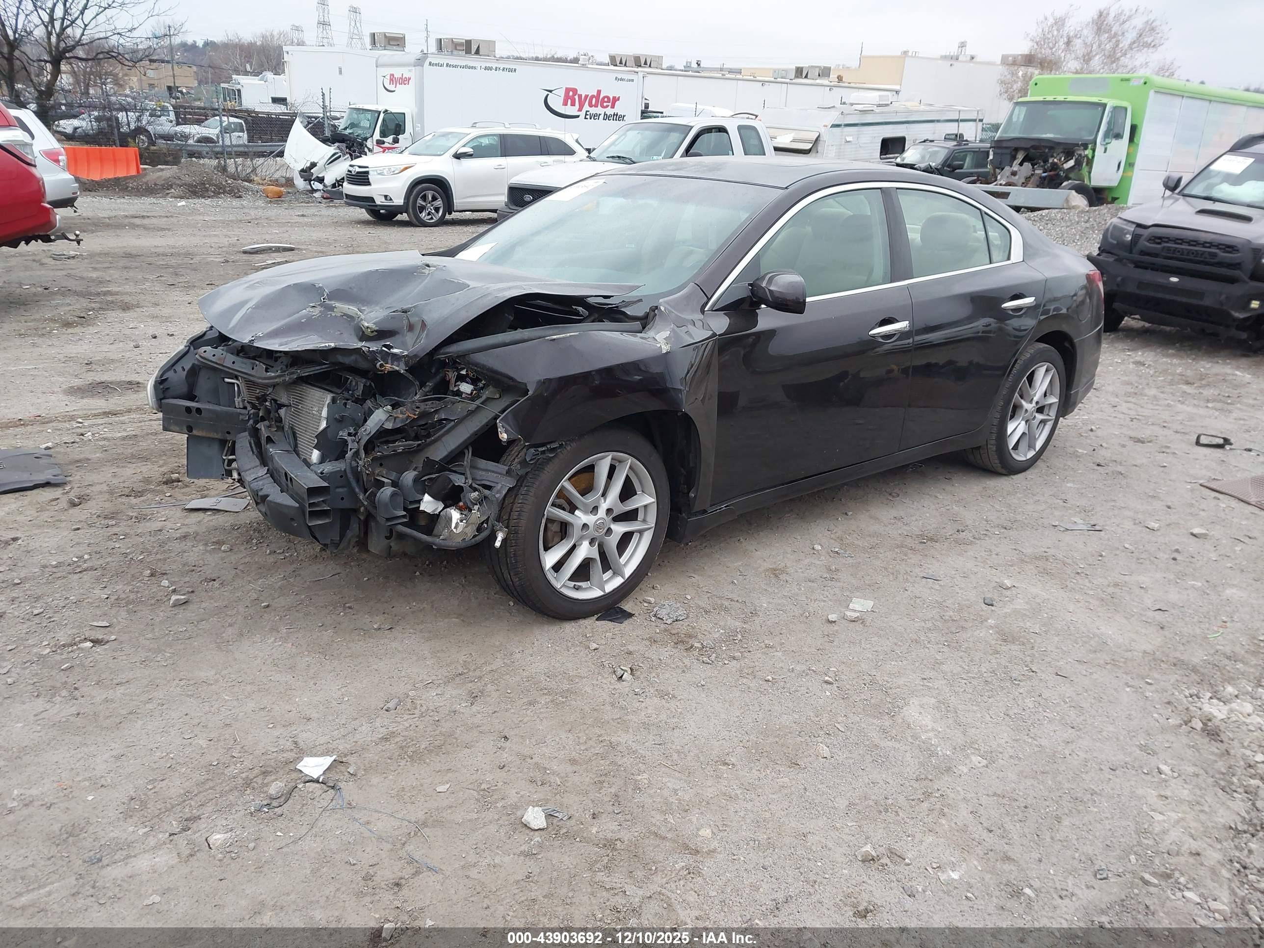 NISSAN MAXIMA image 2