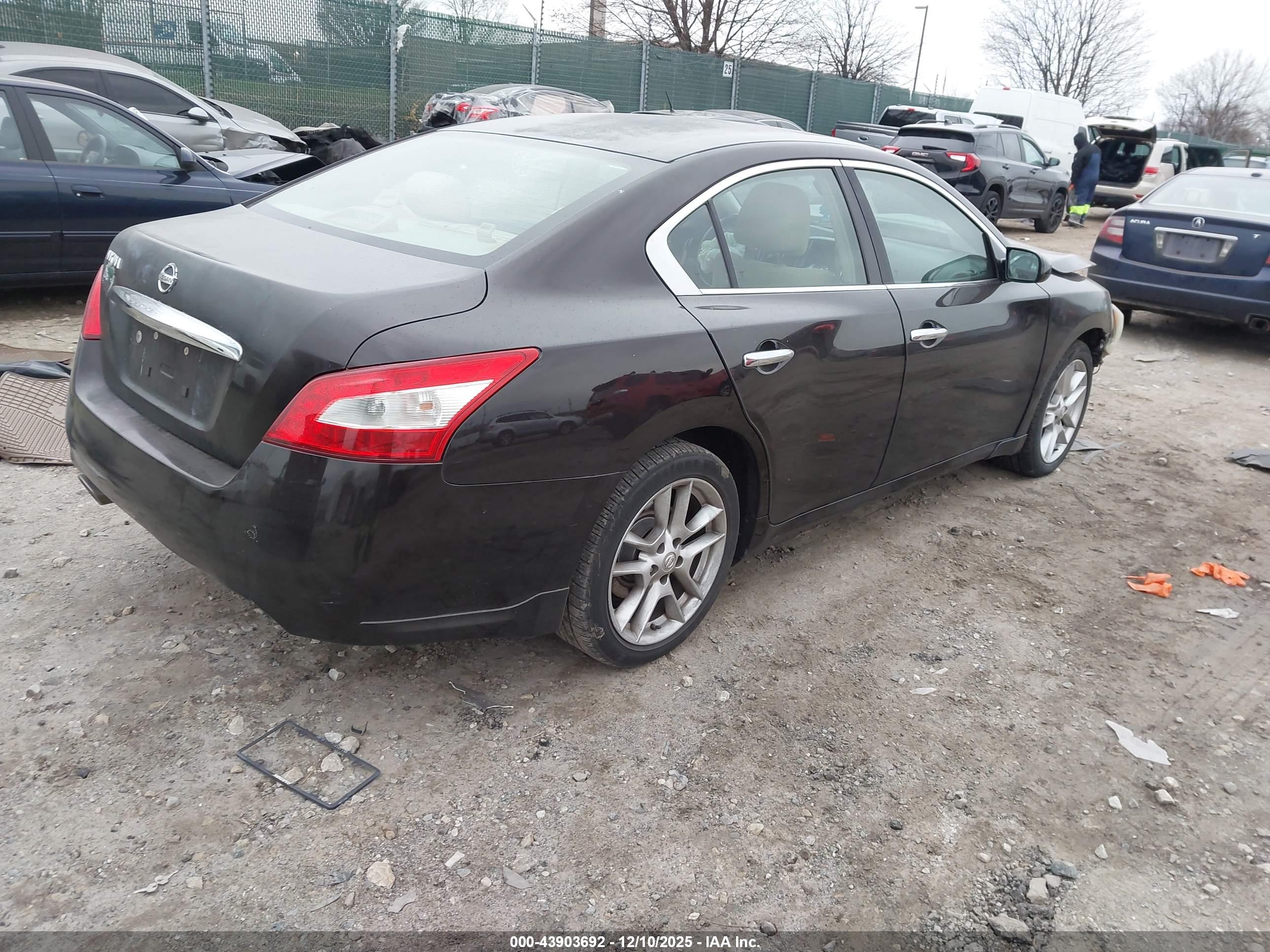 NISSAN MAXIMA image 4