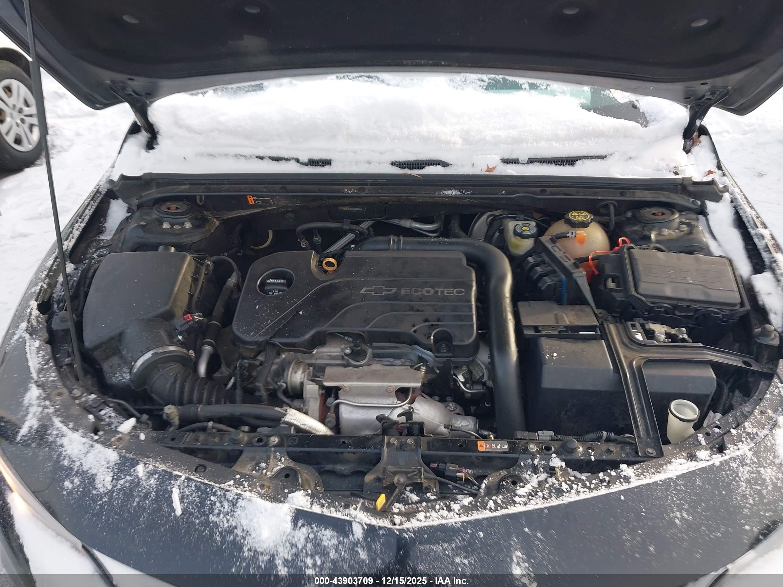 CHEVROLET MALIBU image 10