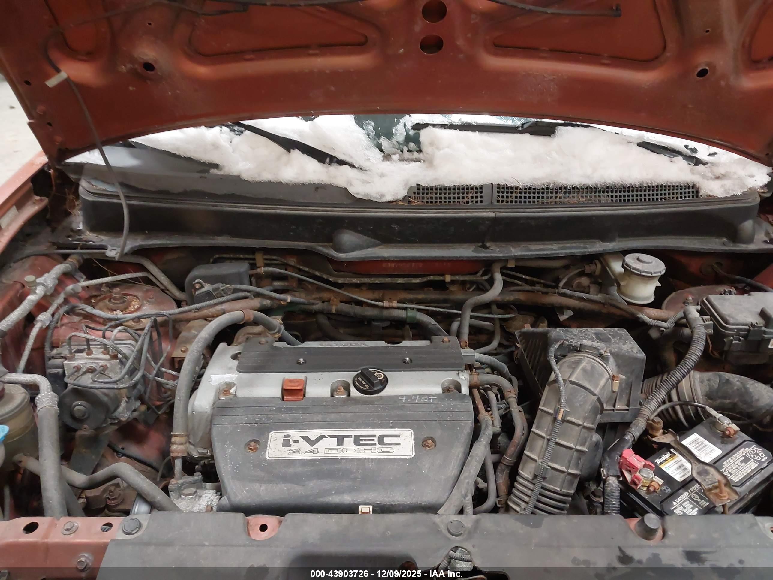 HONDA ELEMENT image 10