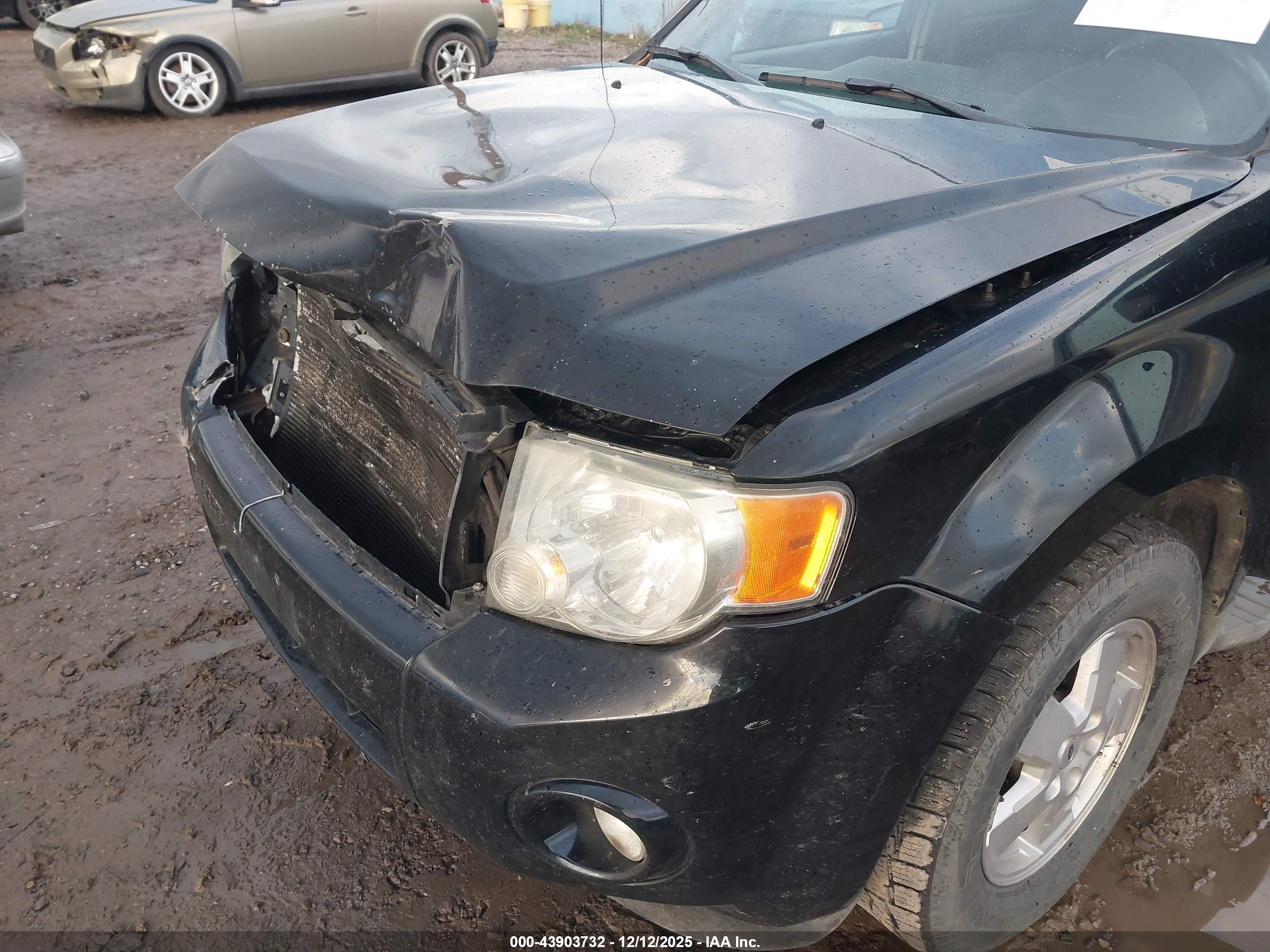 FORD ESCAPE image 6
