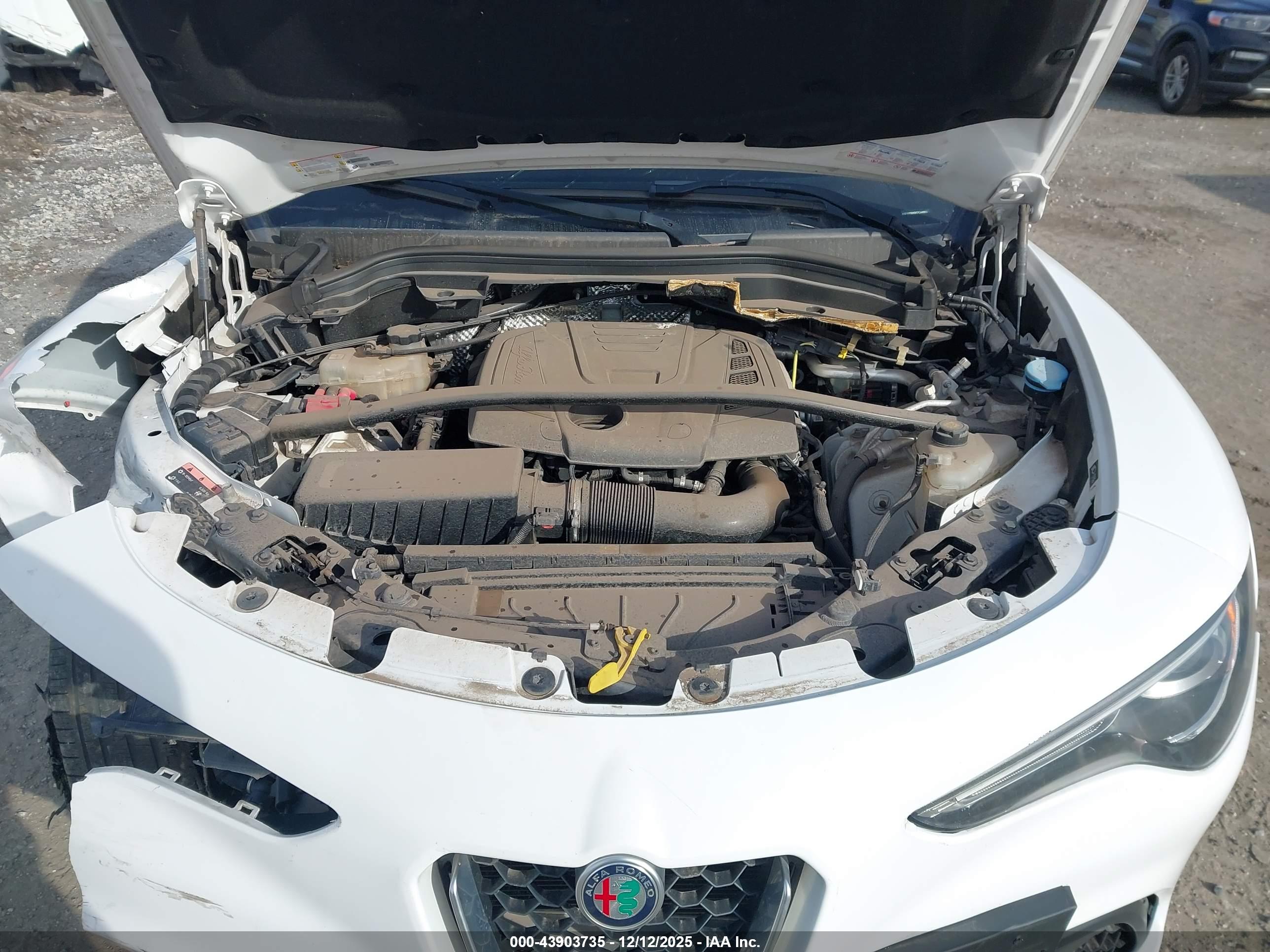 ALFA ROMEO image 10