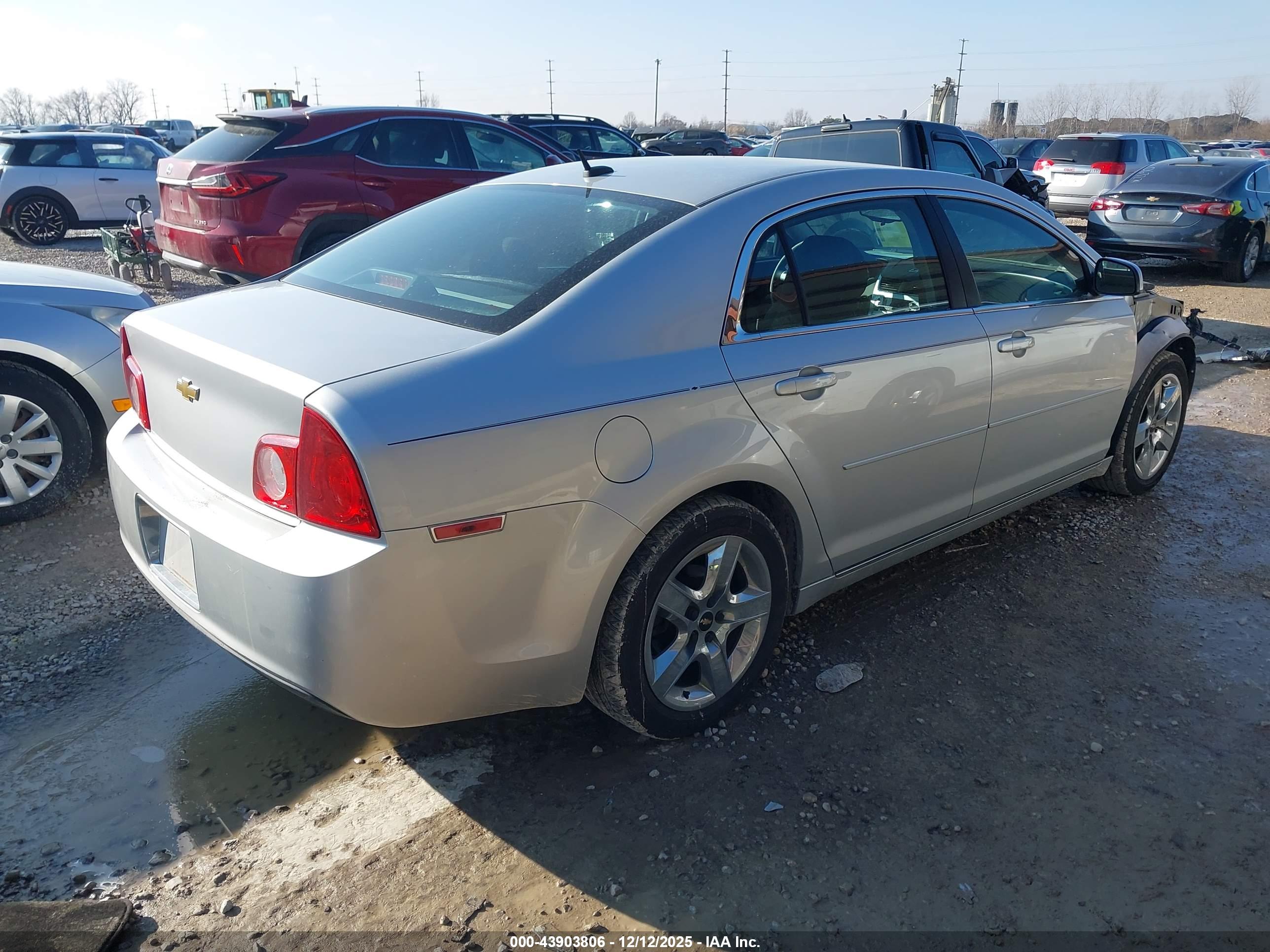 CHEVROLET MALIBU image 4