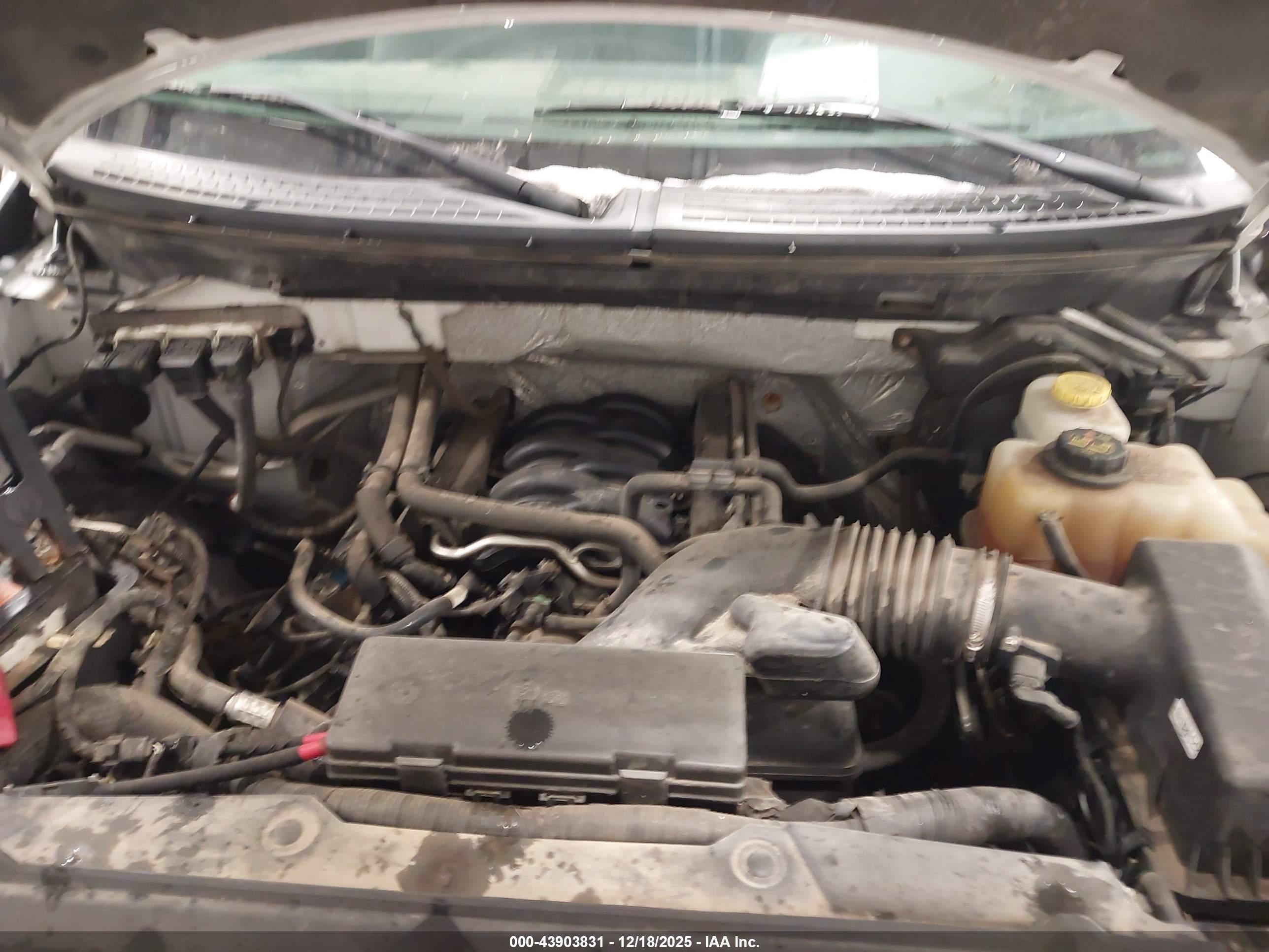 FORD F-150 image 10