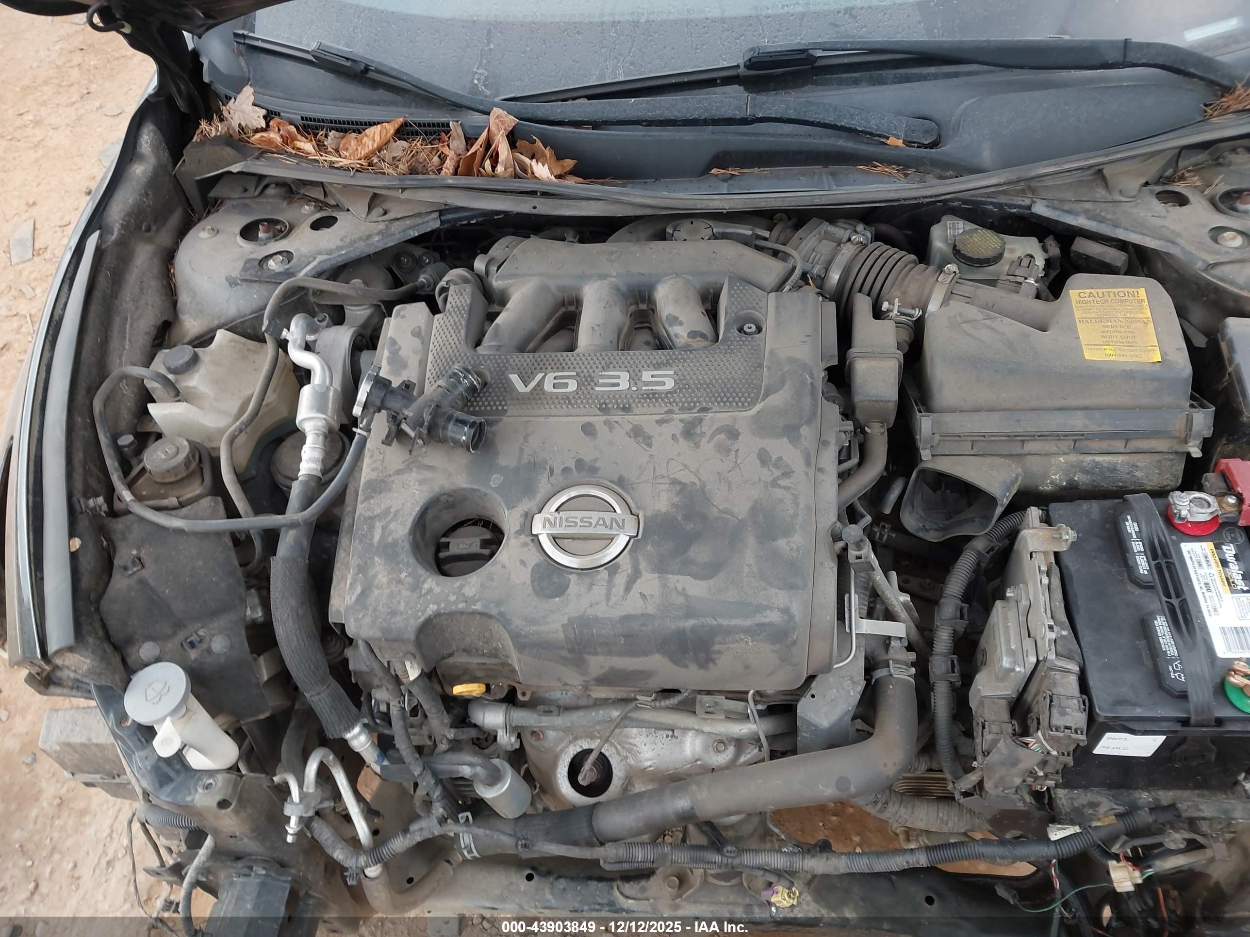 NISSAN ALTIMA image 10