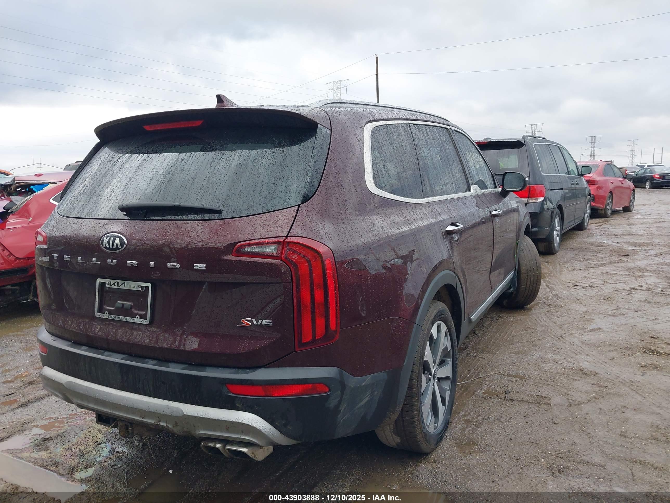 KIA TELLURIDE image 4
