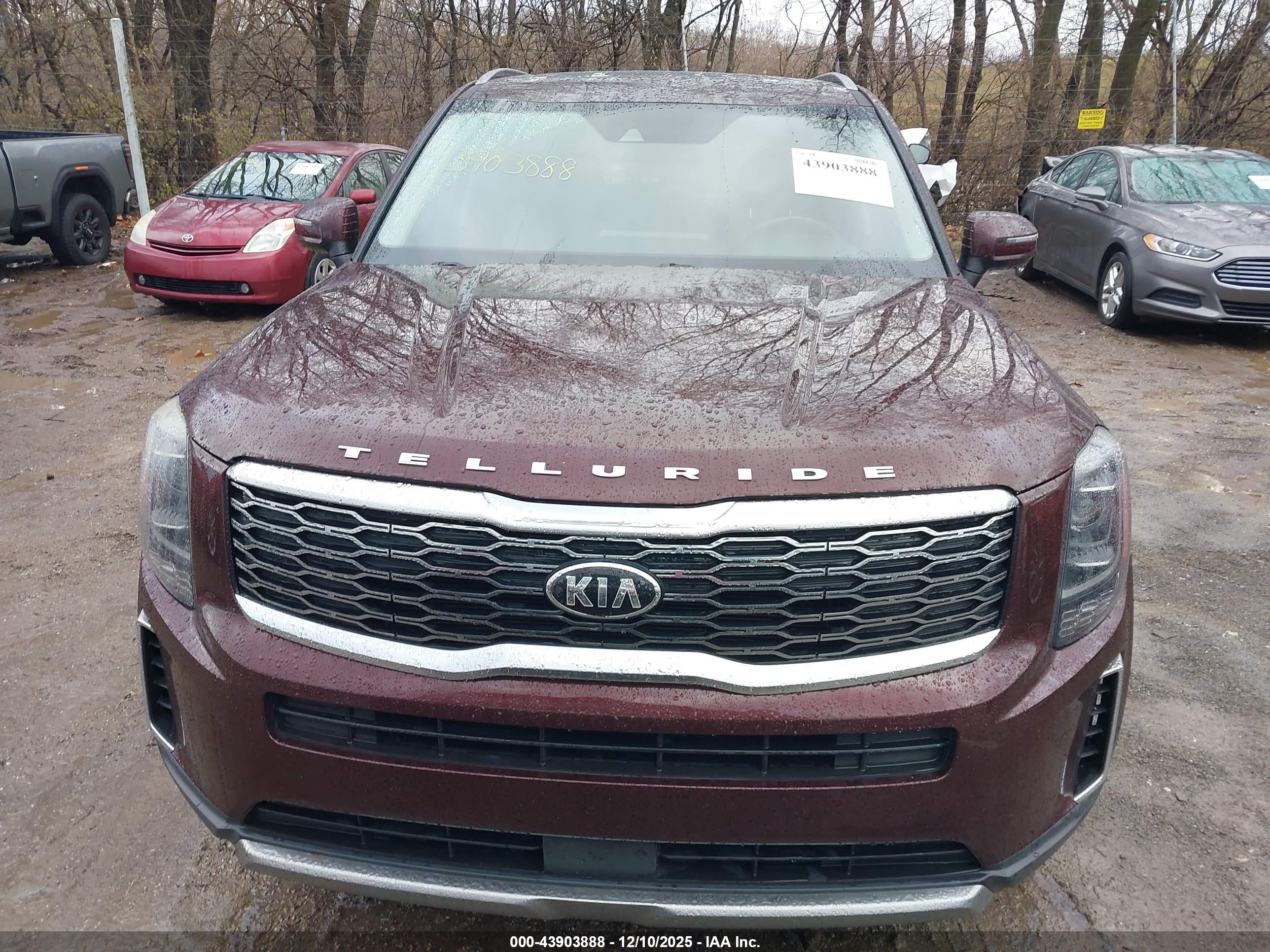 KIA TELLURIDE image 6