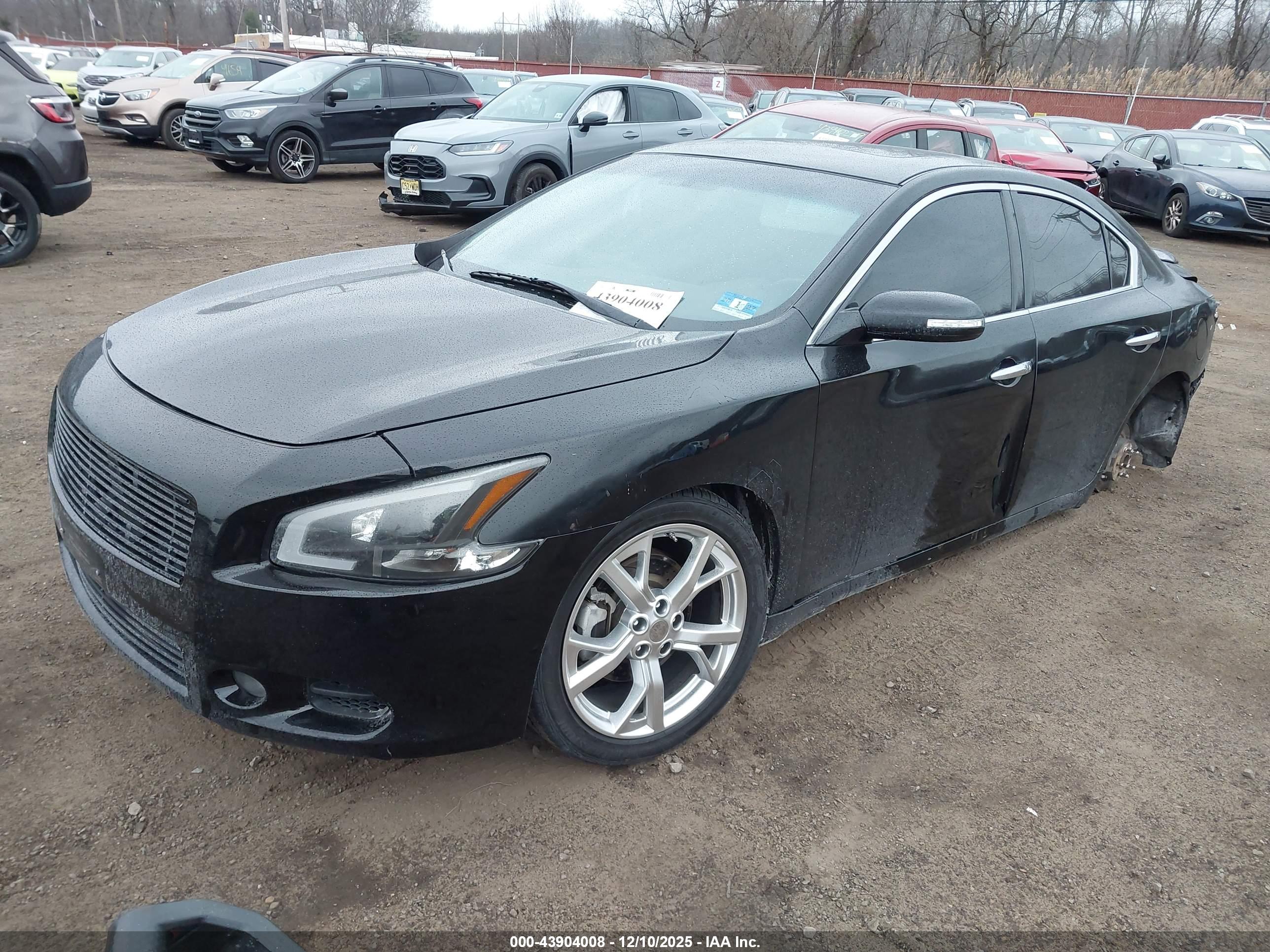 NISSAN MAXIMA image 2