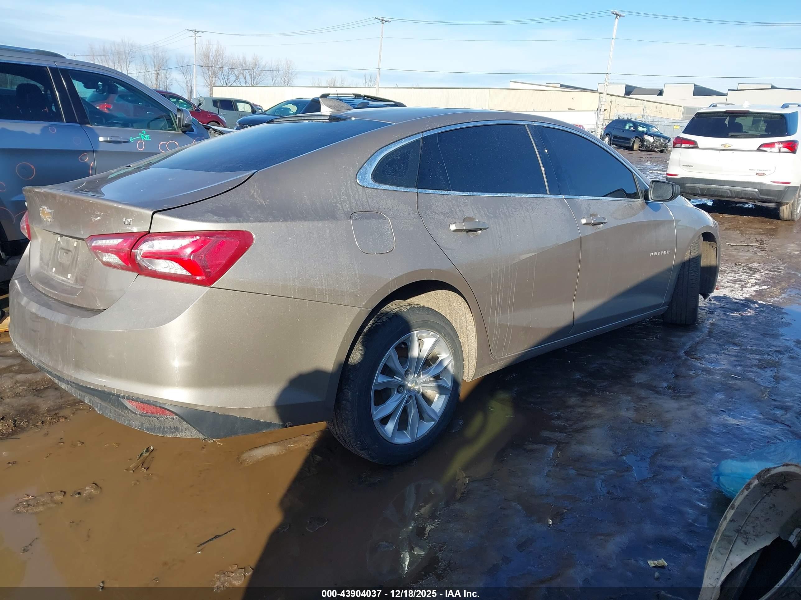 CHEVROLET MALIBU image 4