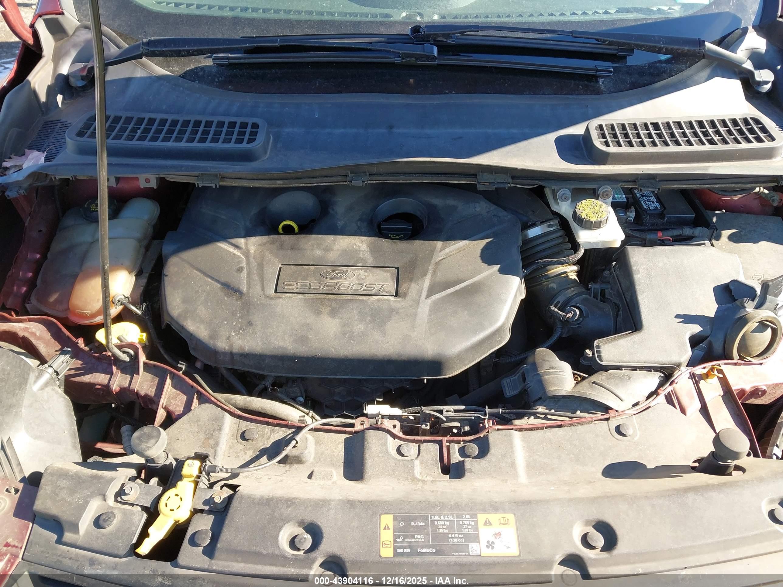 FORD ESCAPE image 10