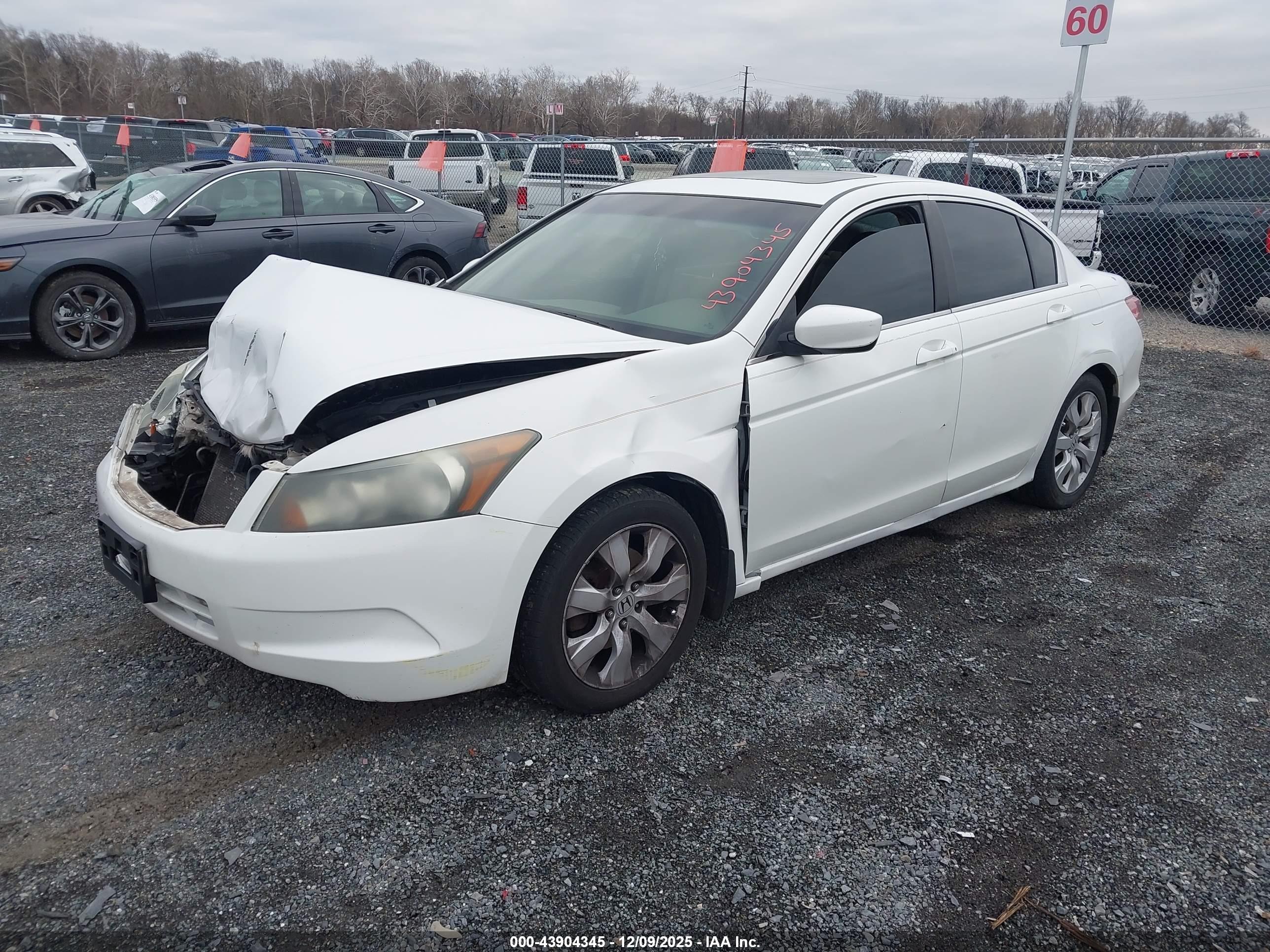 HONDA ACCORD image 2