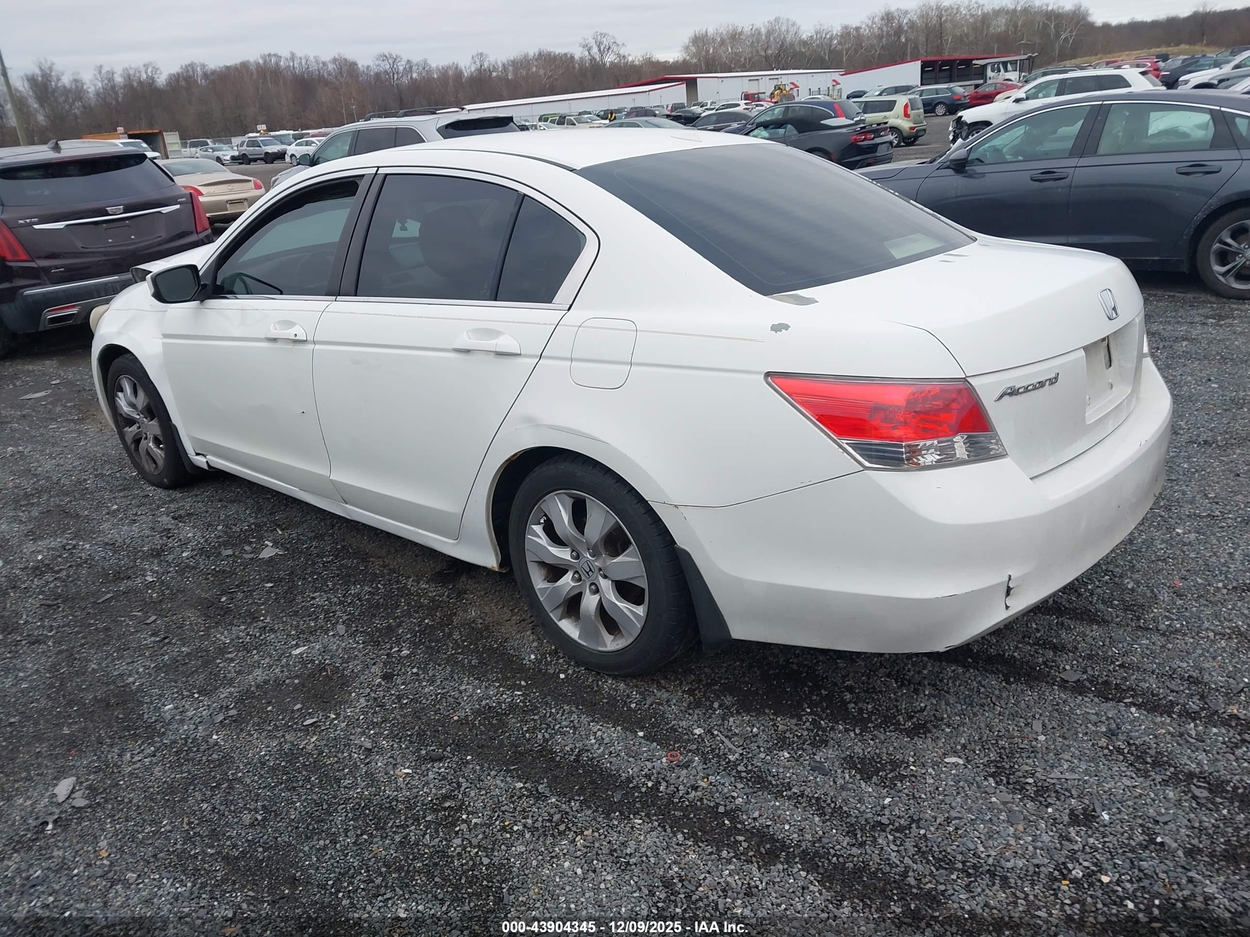 HONDA ACCORD image 3