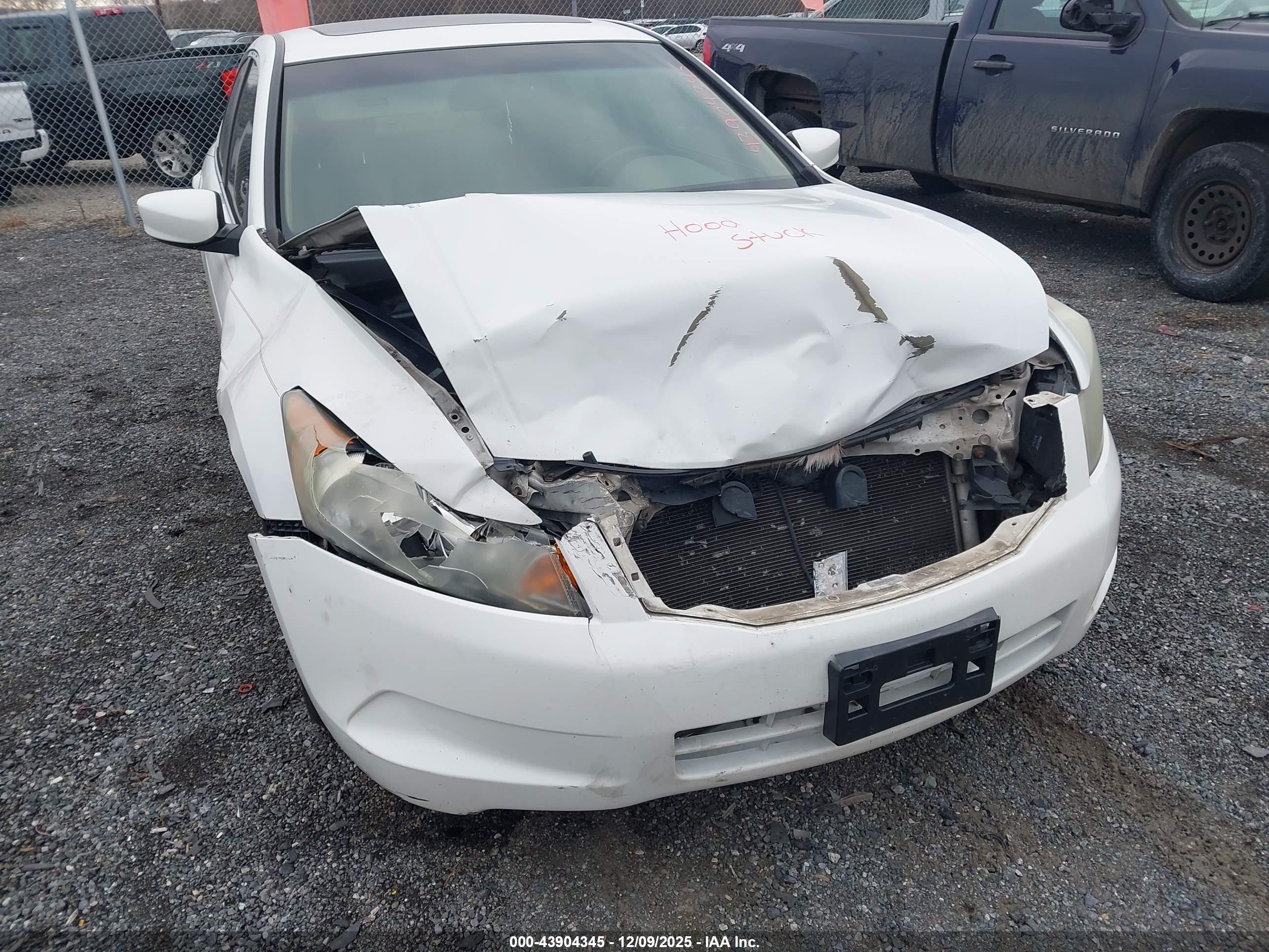 HONDA ACCORD image 6