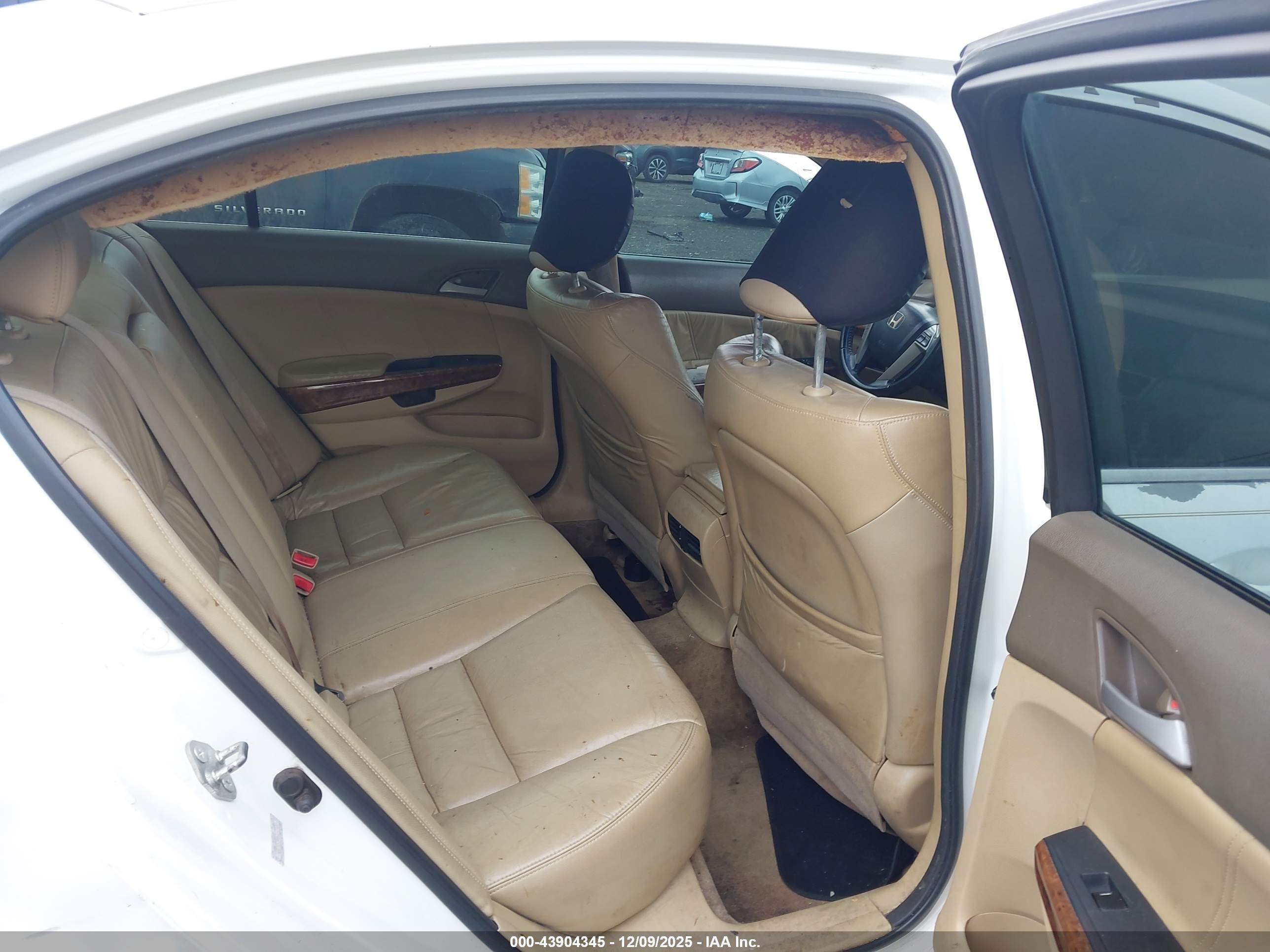 HONDA ACCORD image 8