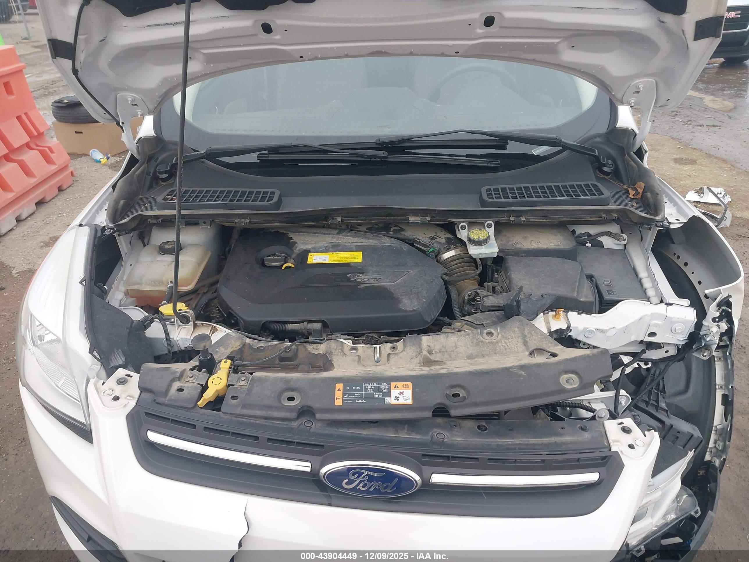 FORD ESCAPE image 10
