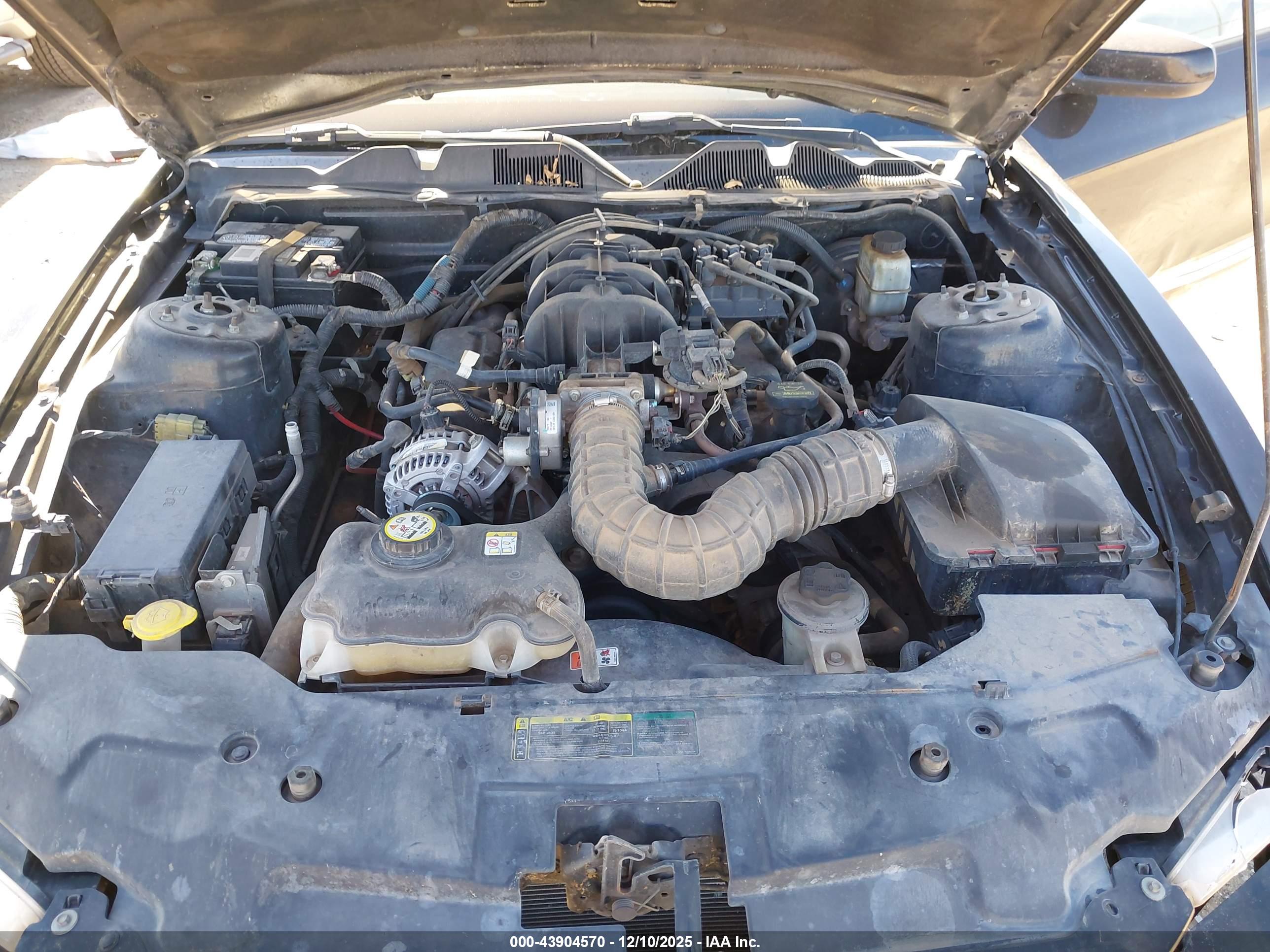 FORD MUSTANG image 10