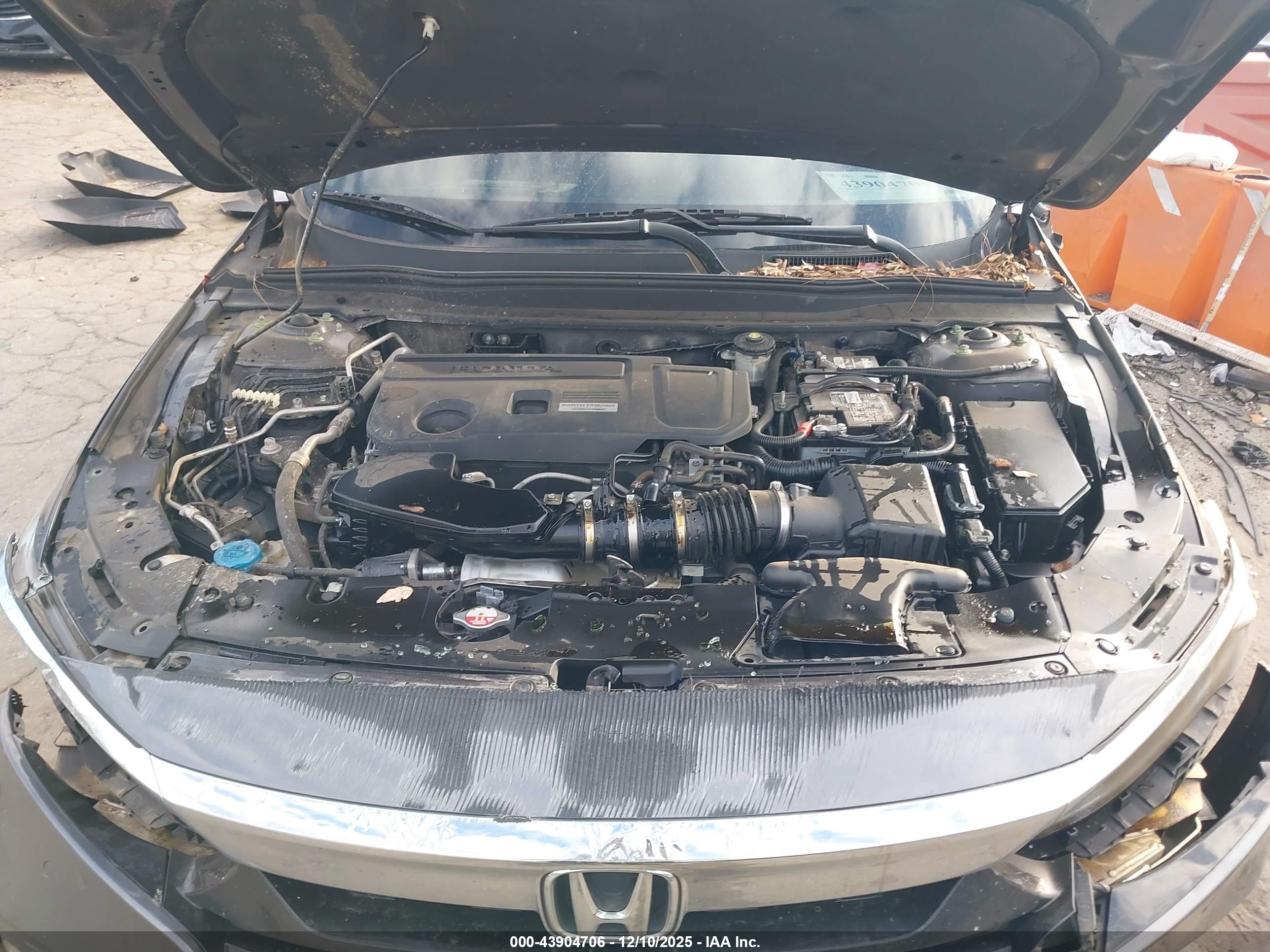HONDA ACCORD image 10