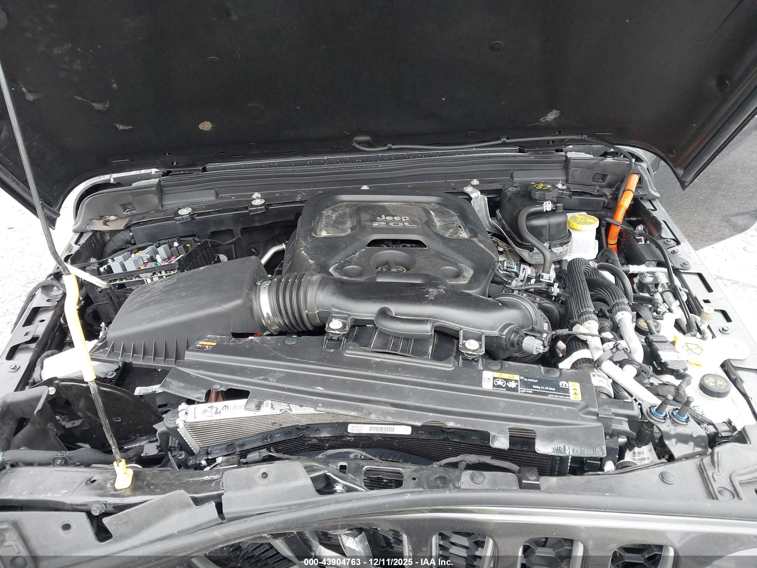 JEEP WRANGLER image 10